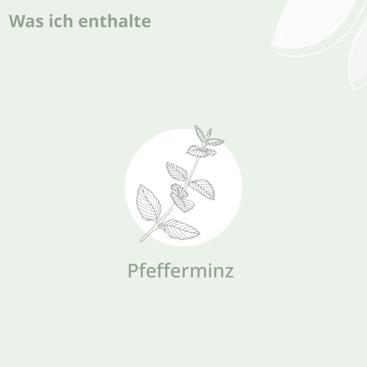 Illustration einer Pfefferminzpflanze in einem Kreis. Text: Was ich enthalte. Pfefferminz.