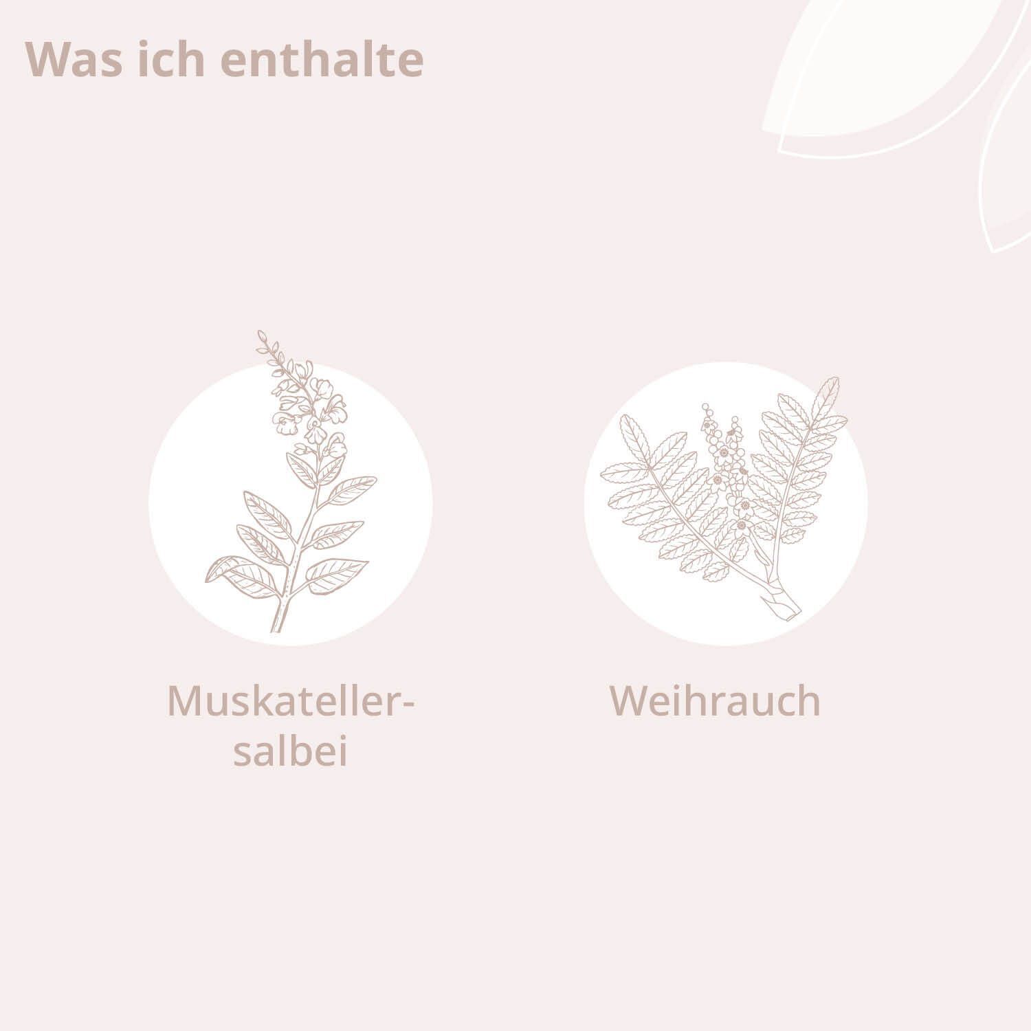 Zwei Illustrationen von Pflanzen. Text: "Was ich enthalte".