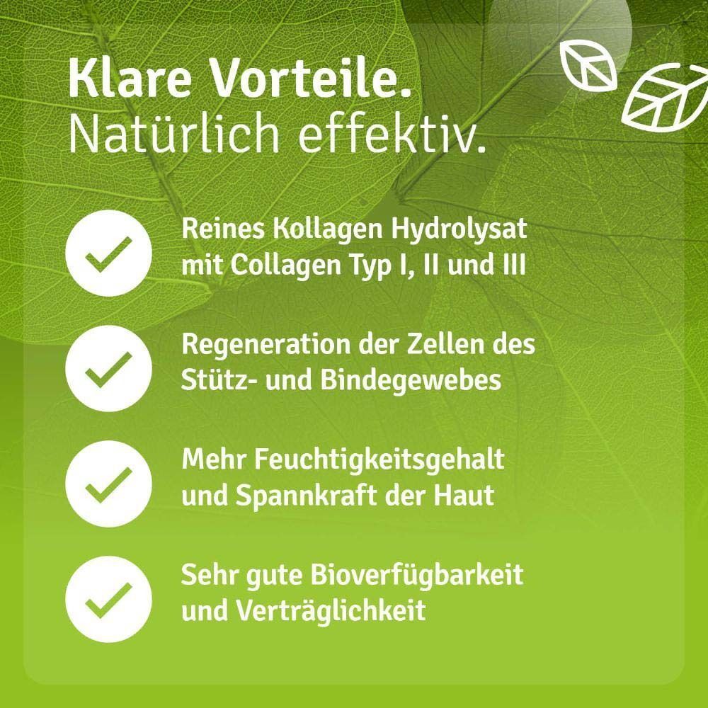 Infografik mit Vorteilen. Text: Reines Kollagen Hydrolysat, Regeneration des Stütz- und Bindegewebes, mehr Feuchtigkeit, gute Bioverfügbarkeit.