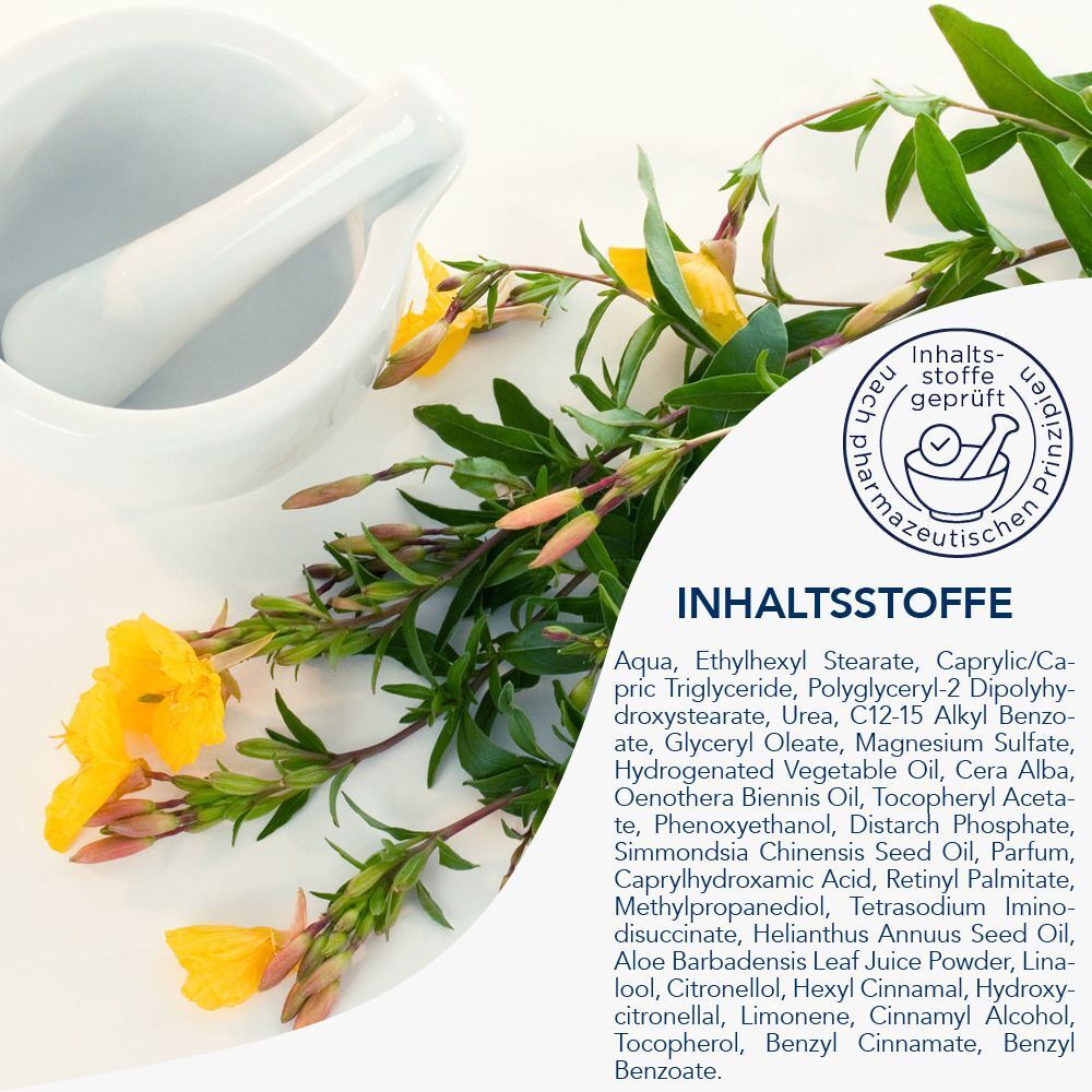 Inhaltsstoffe-Liste mit gelben Blüten und Mörser.