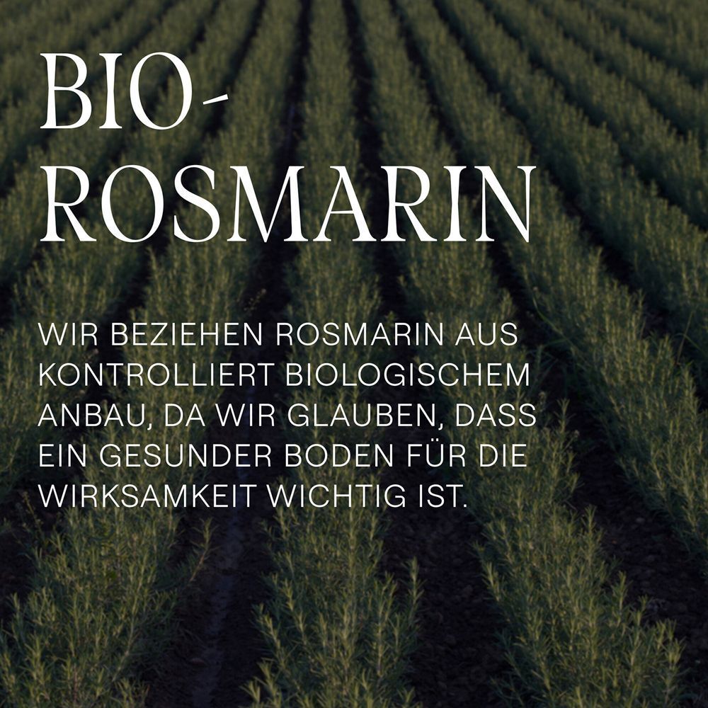 Feld mit Rosmarinpflanzen. Text: Bio-Rosmarin. Wir beziehen Rosmarin aus kontrolliert biologischem Anbau.