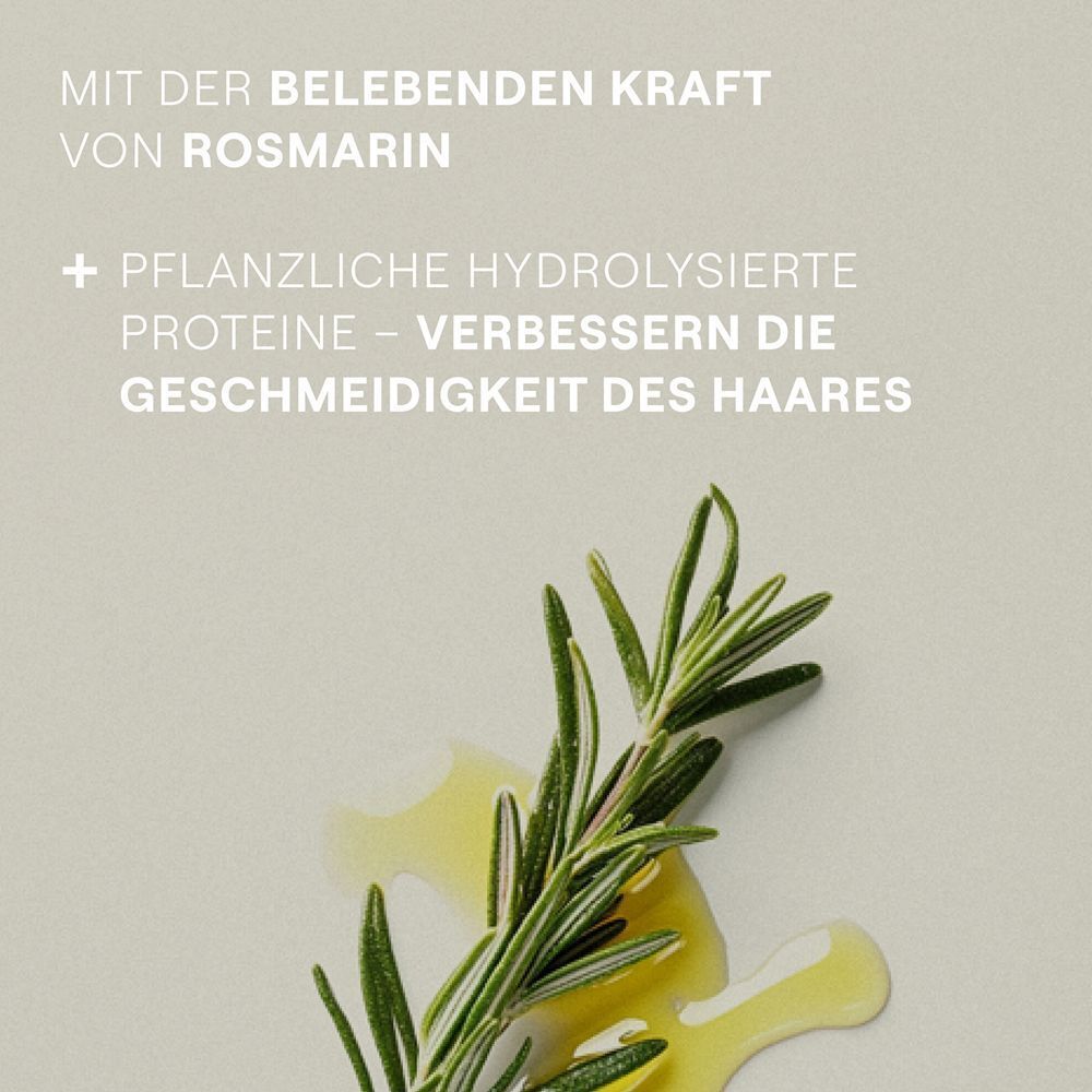 Rosmarinzweig und Öl. Text: Mit der belebenden Kraft von Rosmarin + pflanzliche hydrolysierte Proteine - verbessern die Geschmeidigkeit des Haares.