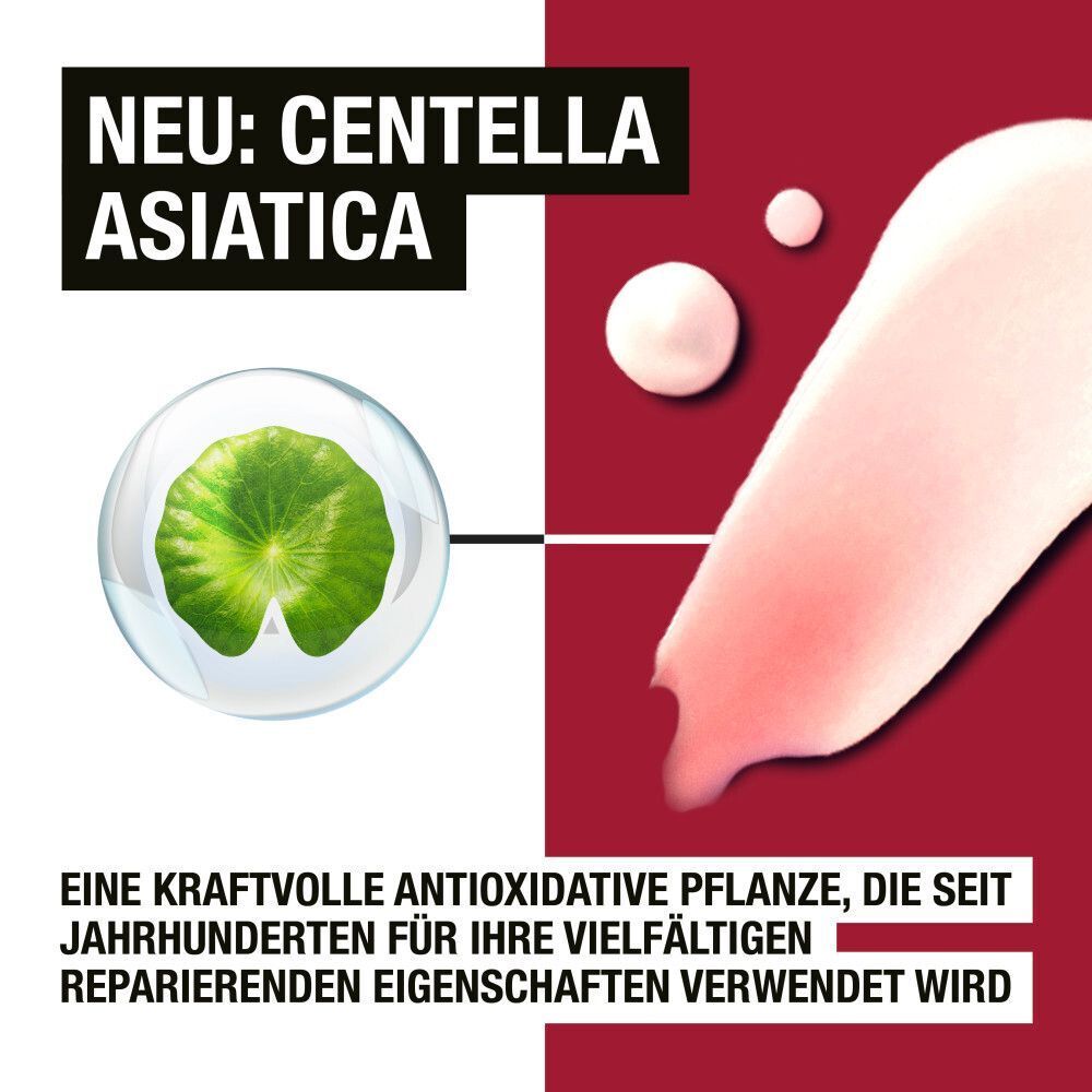 Abbildung von Centella Asiatica. Text: Eine kraftvolle antioxidative Pflanze, die seit Jahrhunderten für ihre vielfältigen reparierenden Eigenschaften verwendet wird.