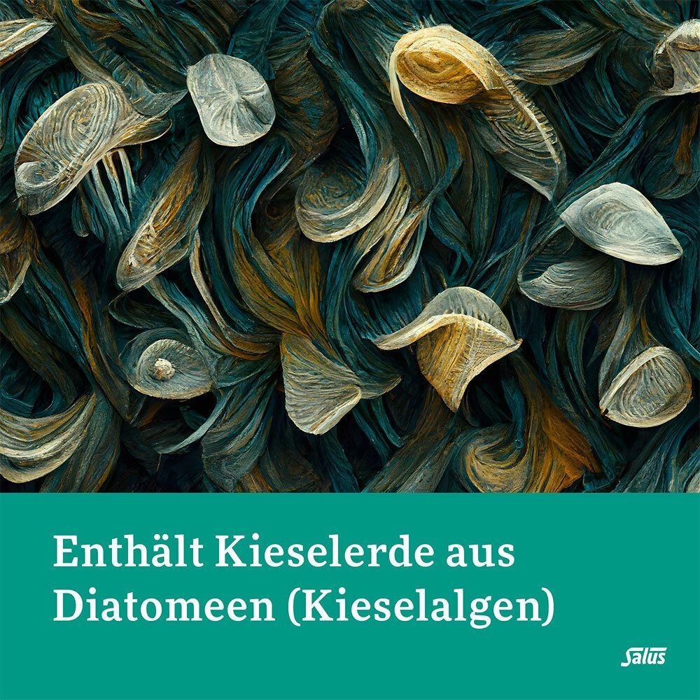 Abstrakte Darstellung von Kieselalgen (Diatomeen). Text: Enthält Kieselerde aus Diatomeen (Kieselalgen).