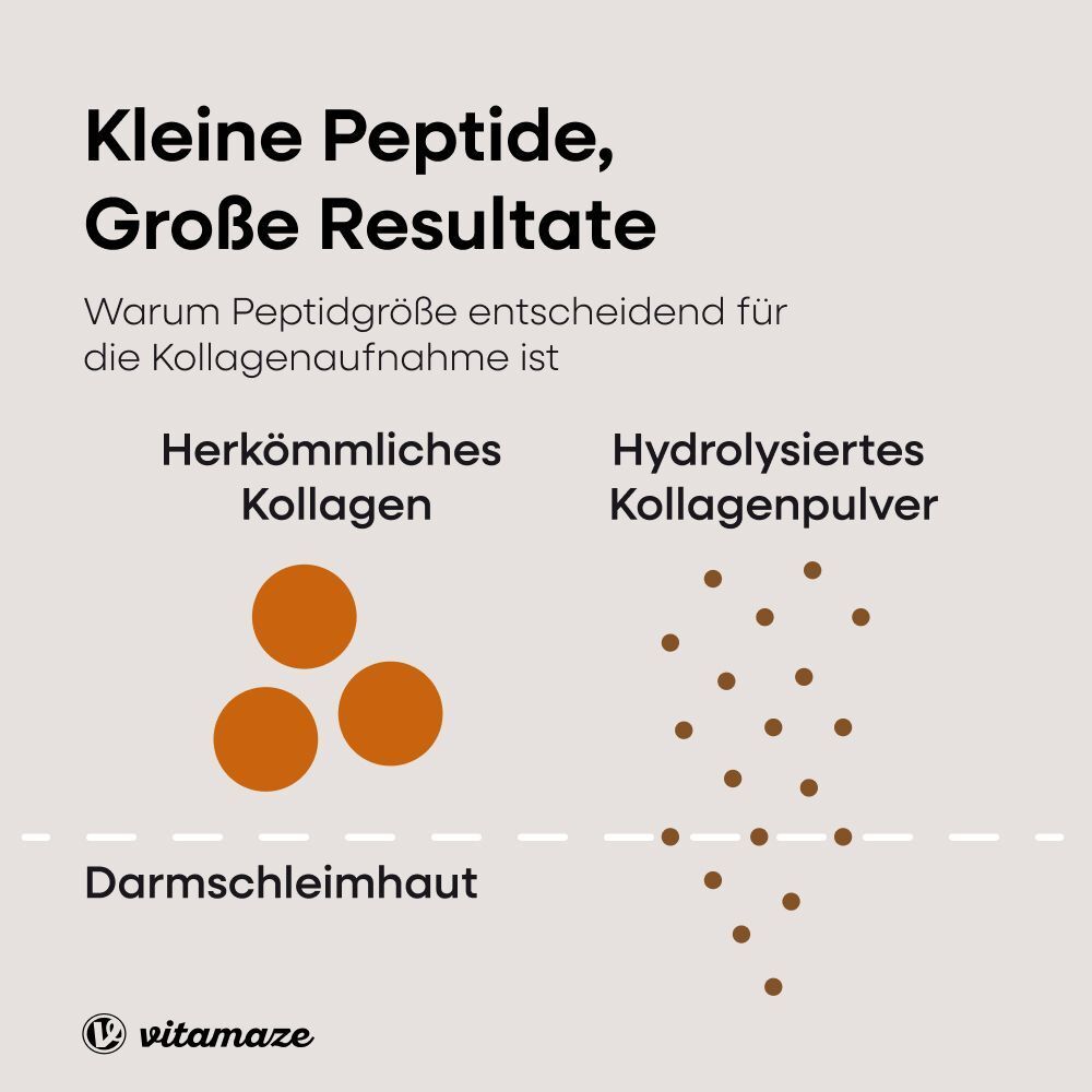 Grafik: Vergleich von herkömmlichem und hydrolysiertem Kollagenpulver. Darstellung der Partikelgröße.
