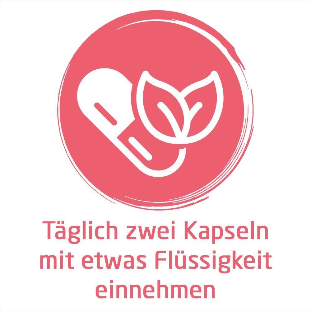 Kapsel mit Blättern. Text: Täglich zwei Kapseln mit etwas Flüssigkeit einnehmen.