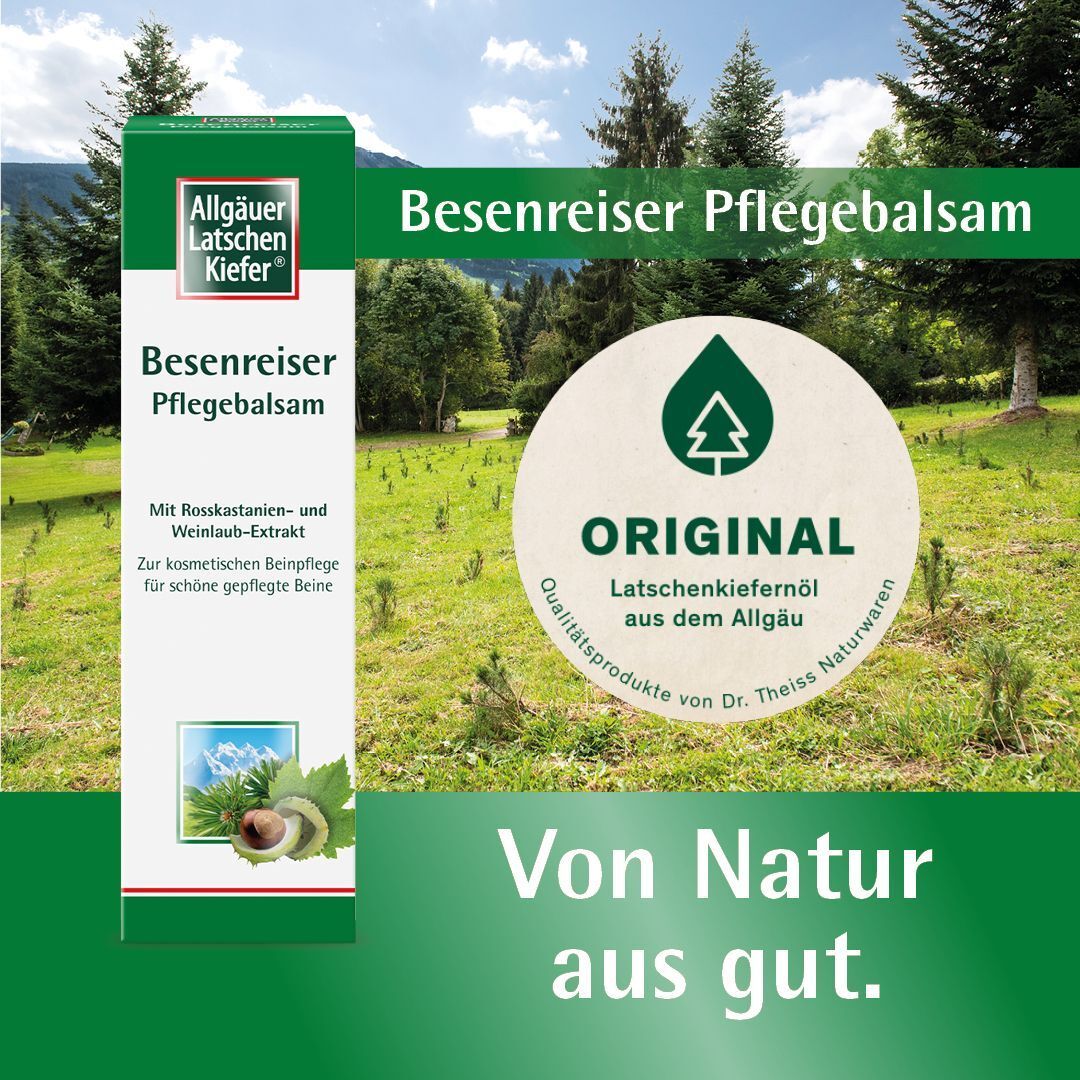 Verpackung von Besenreiser Pflegebalsam mit Logo und dem Zusatz 'Original'. Hintergrund: Landschaft.
