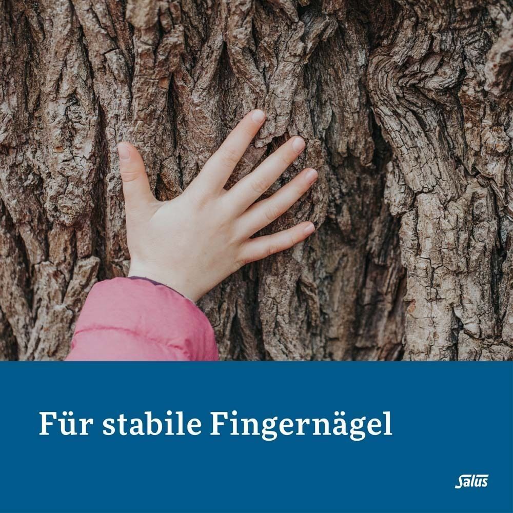 Salus Kieselerde klassik Tabletten