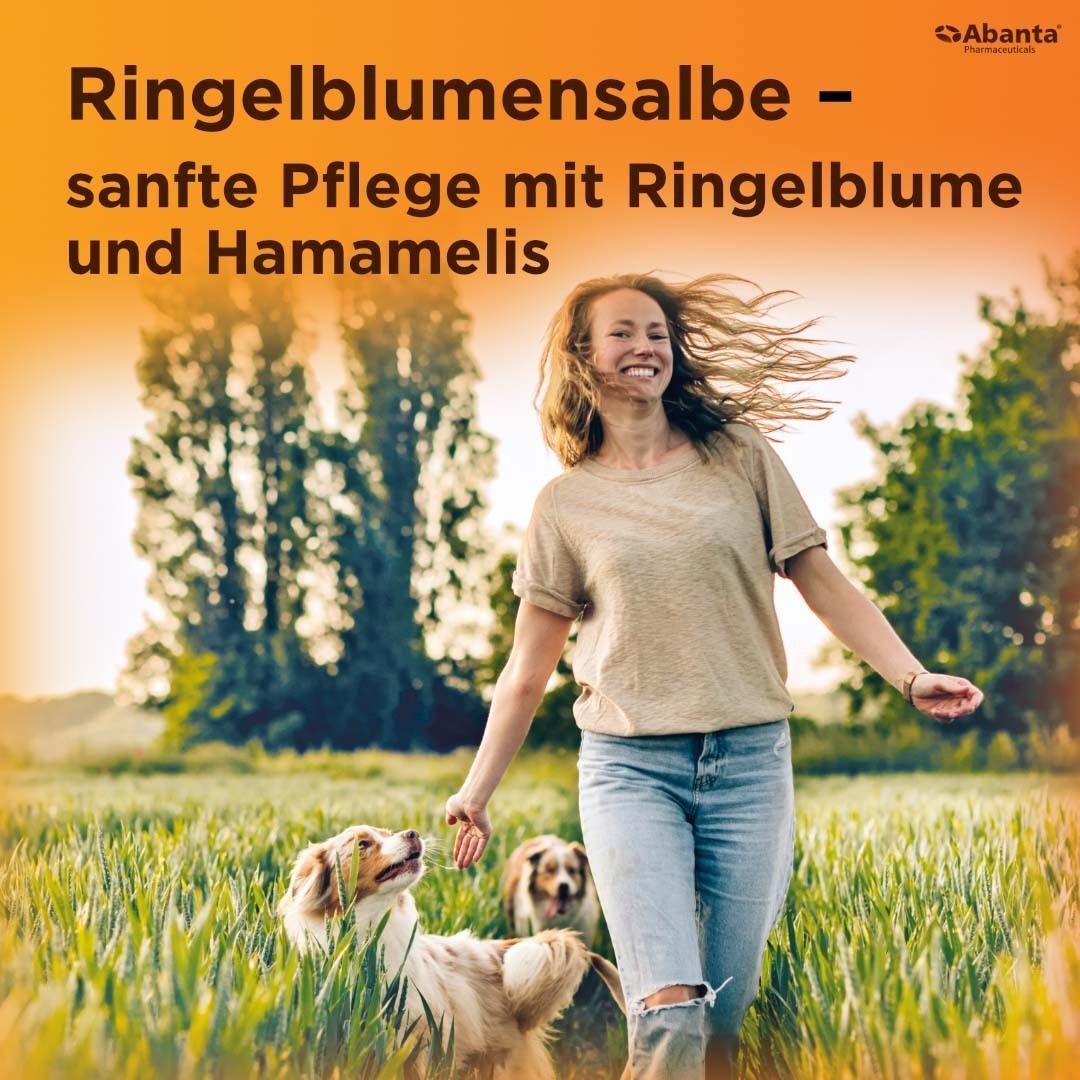 Text auf orangefarbenem Hintergrund: Ringelblumensalbe - sanfte Pflege mit Ringelblume und Hamamelis. Frau mit Hunden im Feld.