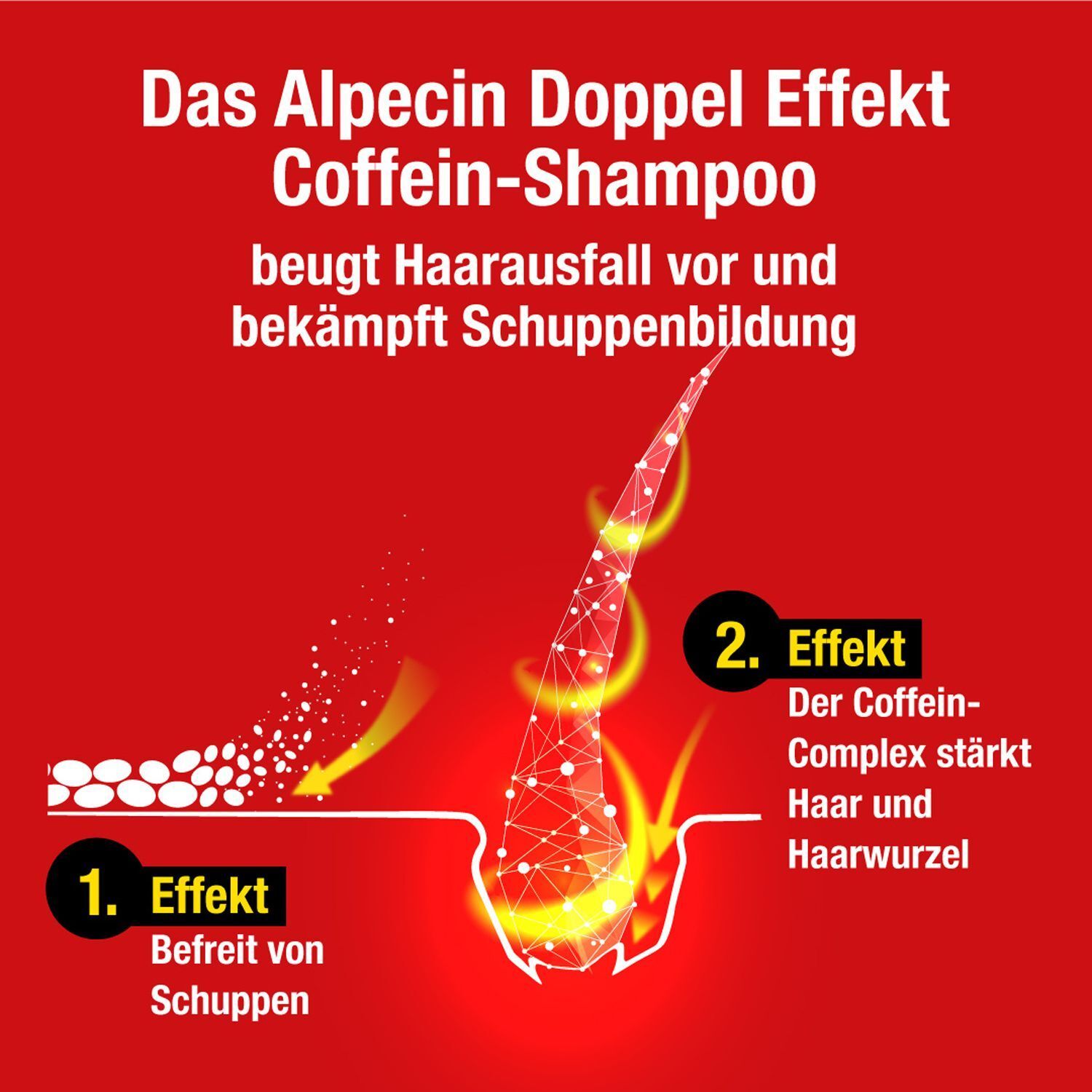 Grafik: Haarschaft mit zwei Effekten. 1. Befreit von Schuppen. 2. Stärkt Haar und Haarwurzel. Text: Alpecin Doppel Effekt.