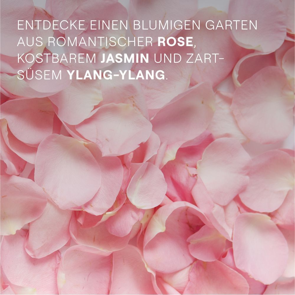 Rosa Rosenblätter. Text: Entdecke einen blumigen Garten aus romantischer Rose, kostbarem Jasmin und zartsüßem Ylang-Ylang.