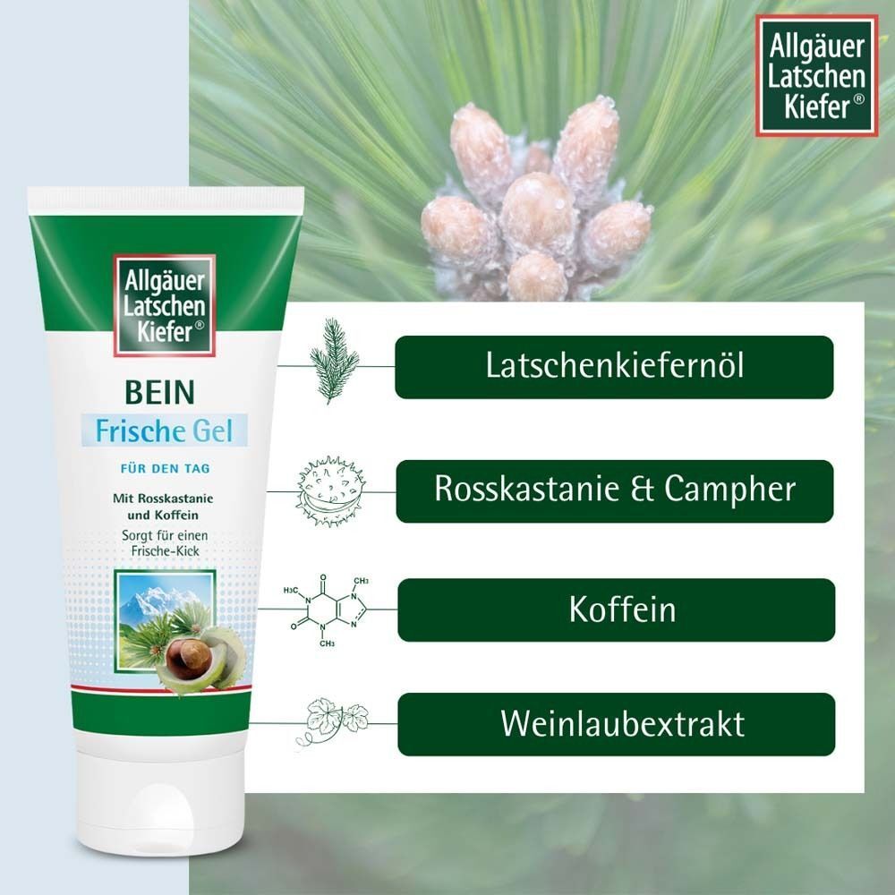 Eine Tube ALLGÄUER LATSCHENKIEFER Bein Frische Gel mit Inhaltsstoffen. Inhaltsstoffe: Latschenkiefernöl, Rosskastanie & Kampfer, Koffein, Weinlaubextrakt.