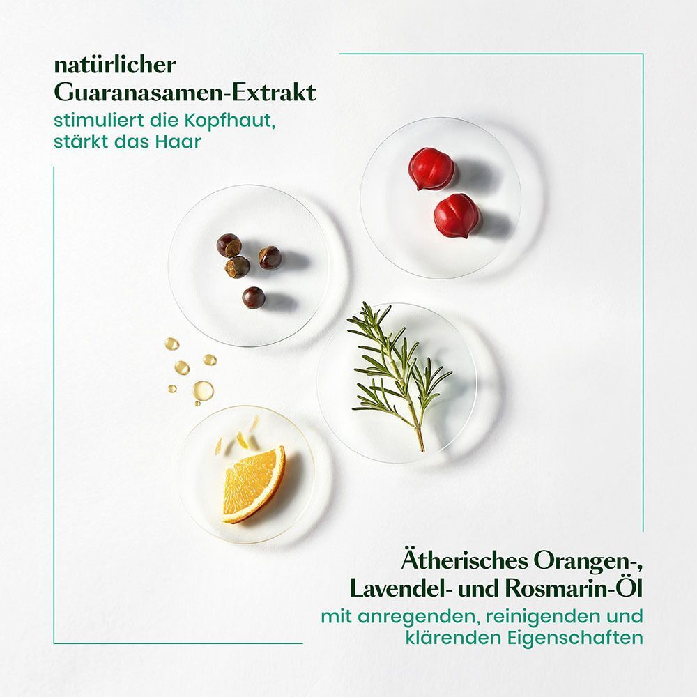 Nahaufnahme von Inhaltsstoffen. Text: Guarana-Samen-Extrakt, ätherisches Orangen-, Lavendel- und Rosmarin-Öl.