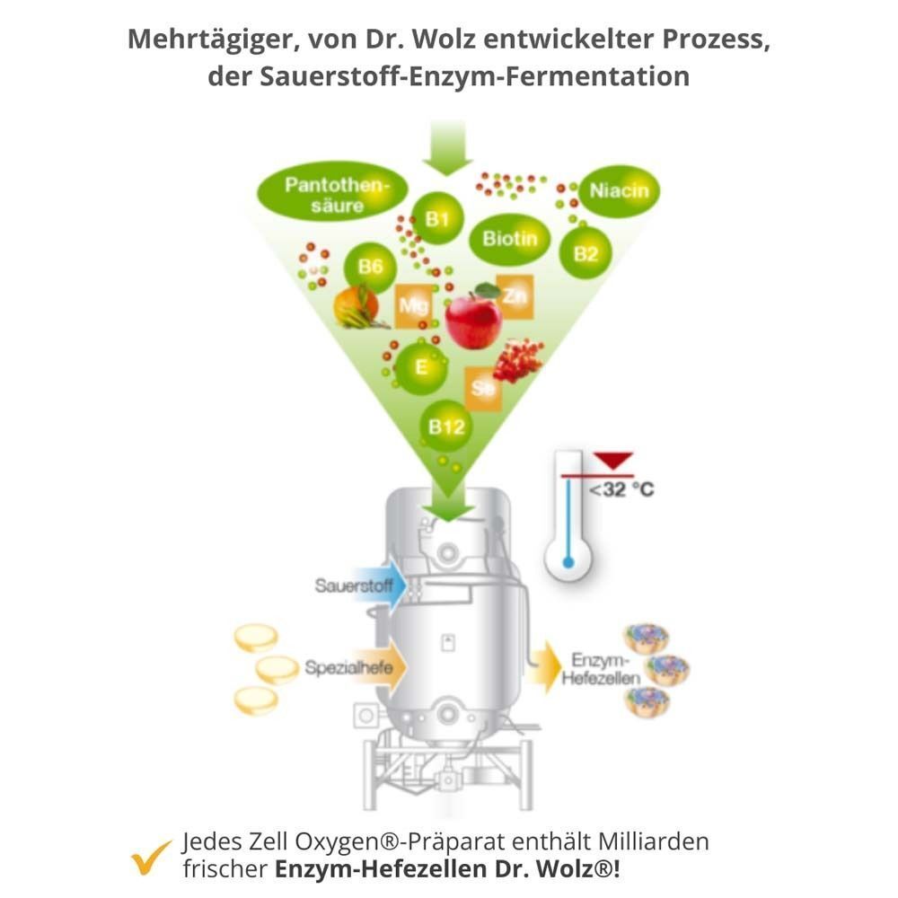 Schema der Sauerstoff-Enzym-Fermentation mit Vitaminen, Mineralstoffen und Enzym-Hefezellen.