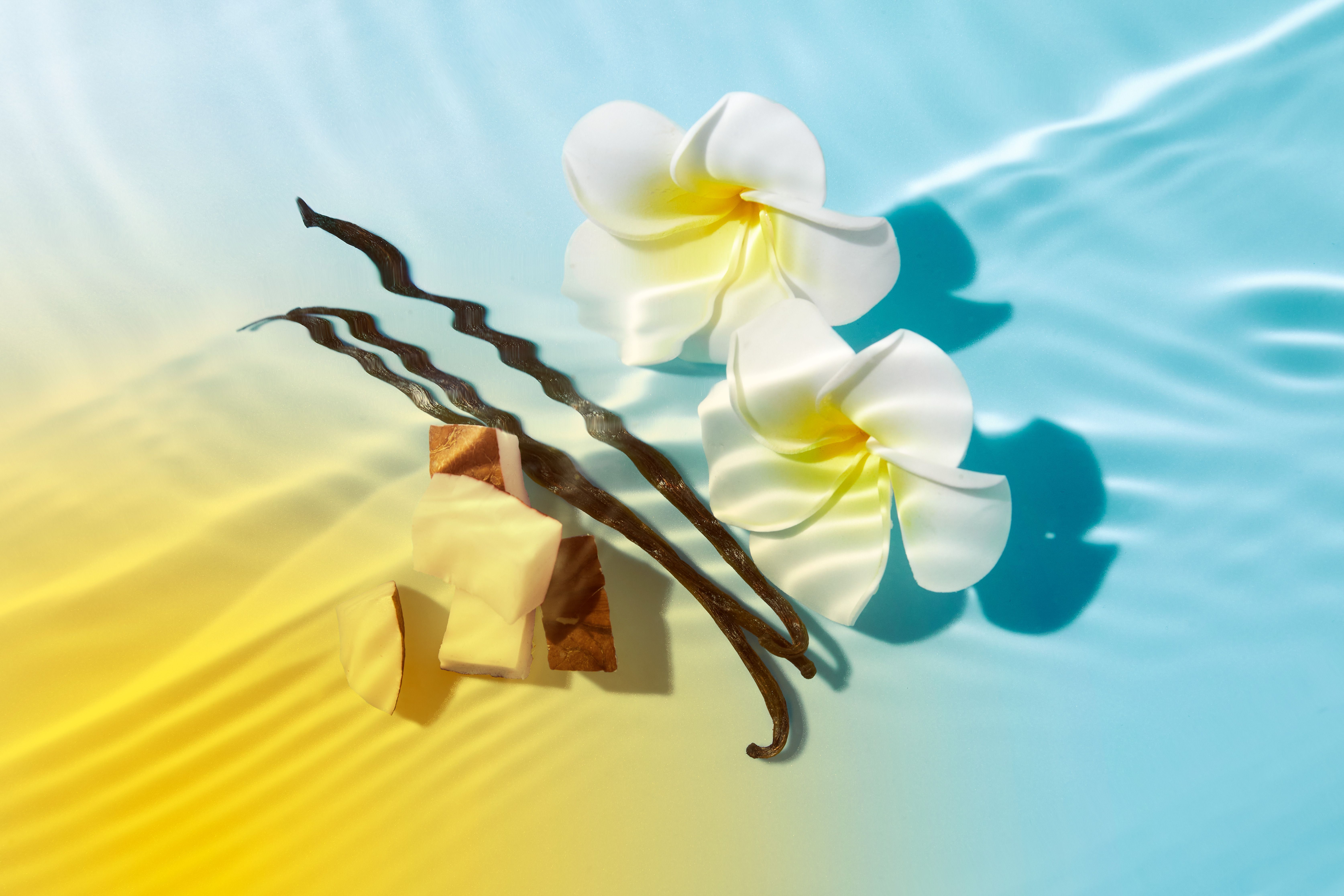 Zwei weiße Blüten, Vanilleschoten und Schokoladenstücke auf gelb-blauem Hintergrund.