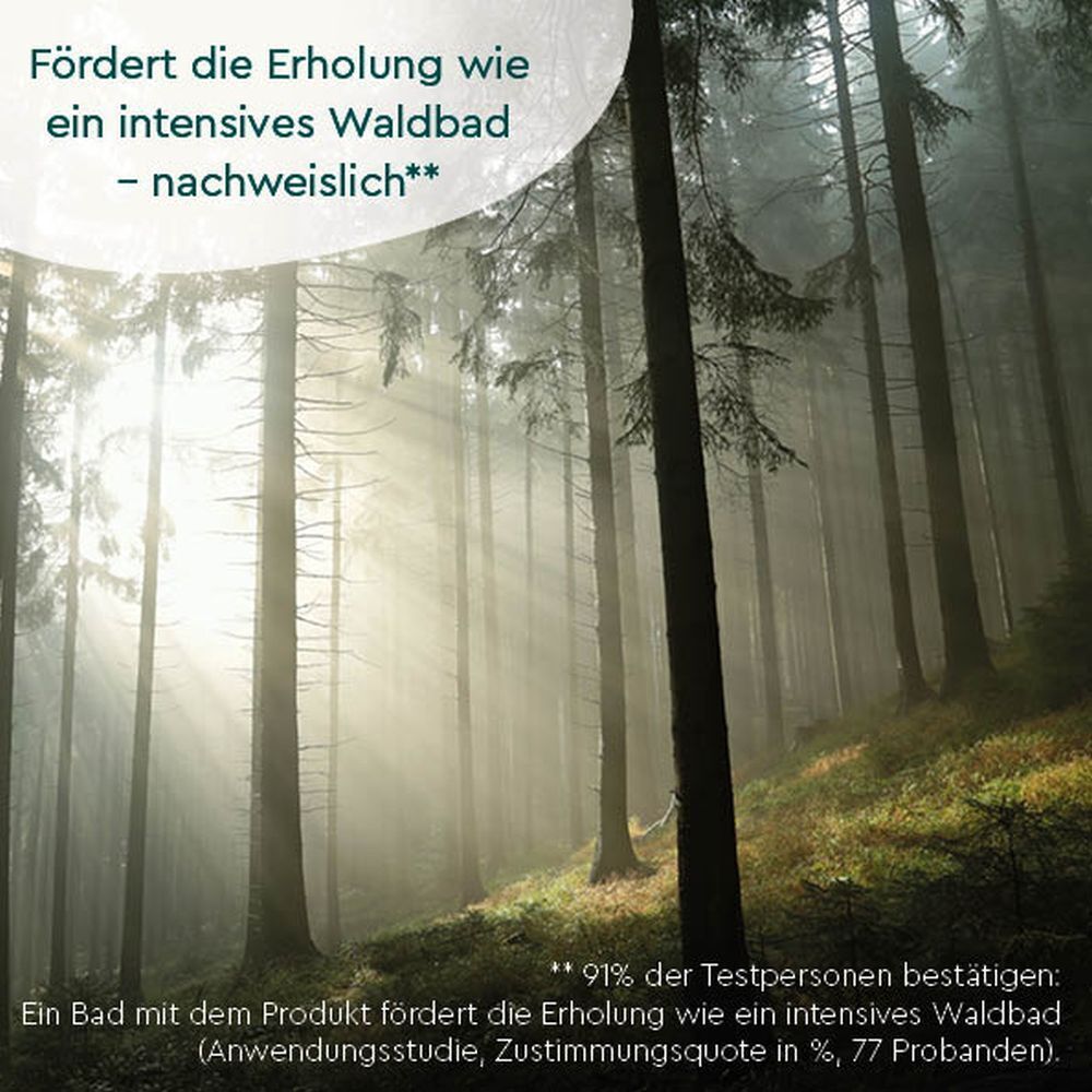 Waldlandschaft mit Sonnenlicht. Text: Fördert die Erholung wie ein intensives Waldbad - nachweislich.