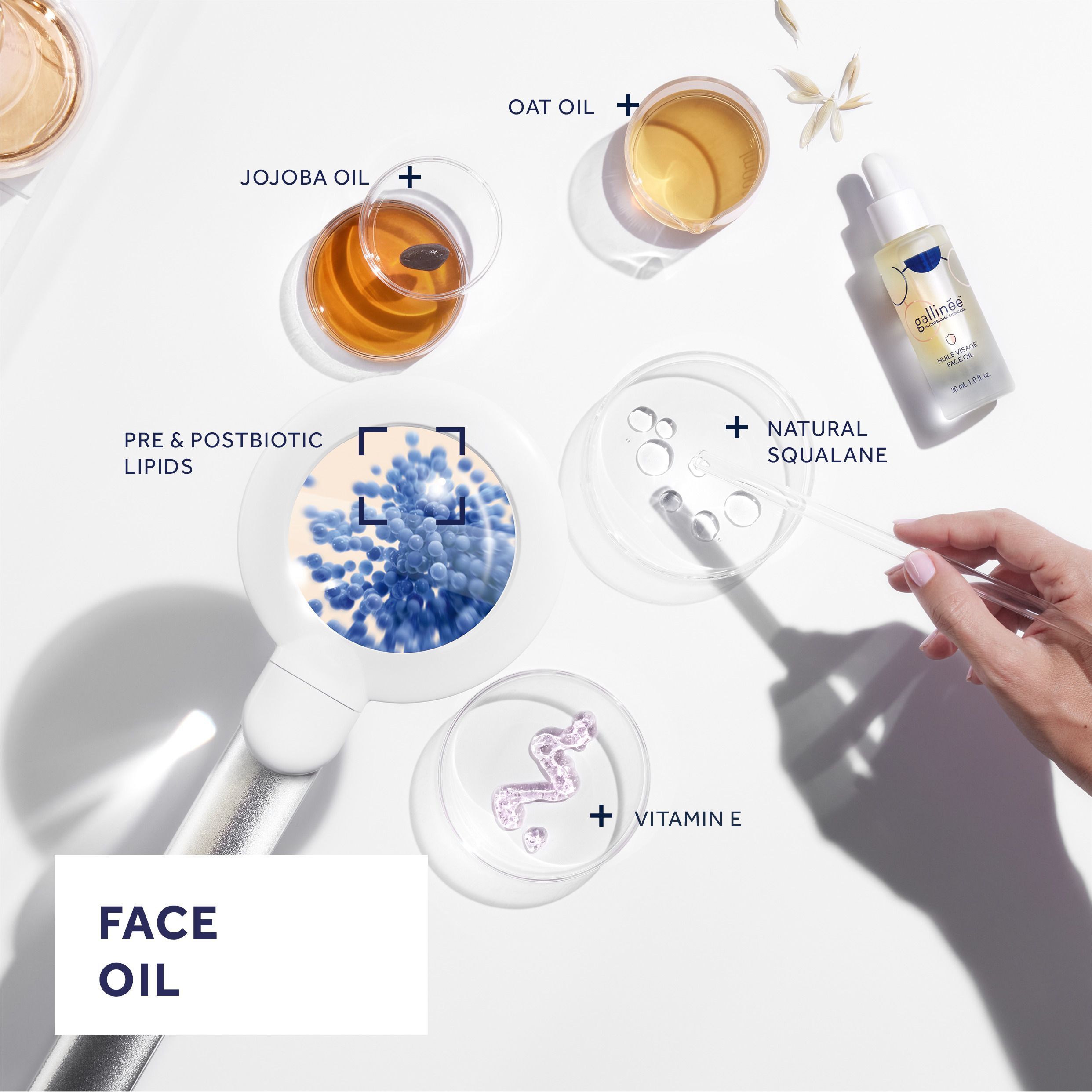 Zusammensetzung des Gesichtsöls. Inhaltsstoffe: Jojobaöl, Haferöl, natürliches Squalan, Vitamin E, Pre- & Postbiotische Lipide.