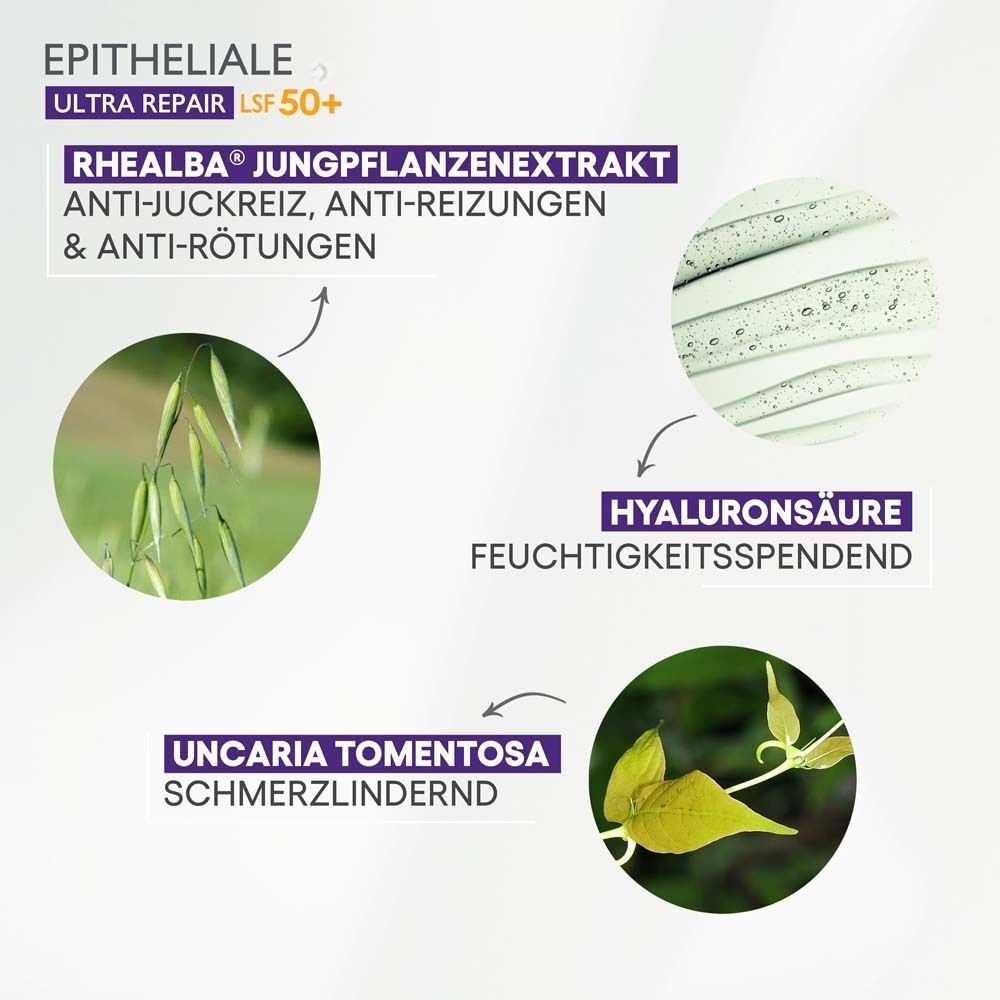 Abbildung von Inhaltsstoffen: Rhealba Jungpflanzenextrakt, Hyaluronsäure, Uncaria Tomentosa.
