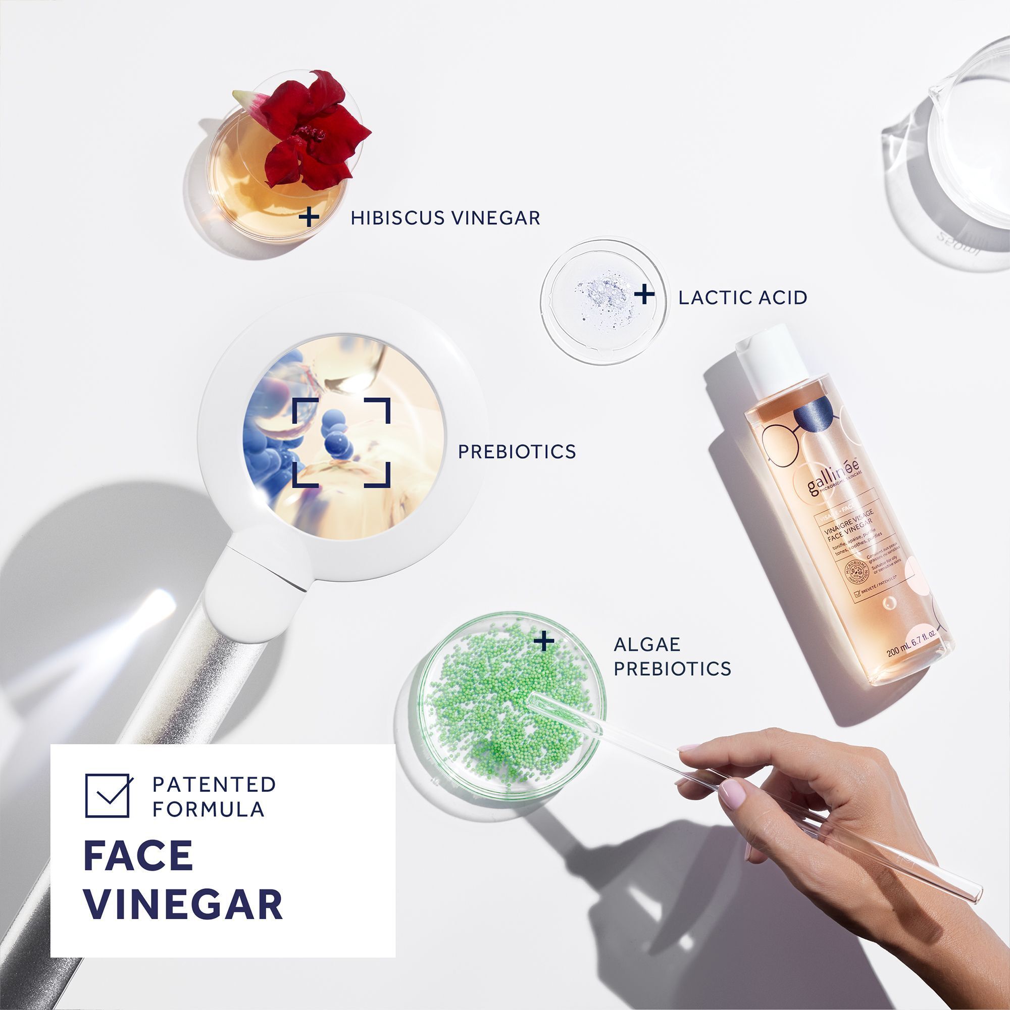 Verschiedene Zutaten und ein Produkt. Face Vinegar Flasche, Hibiskus, Milchsäure, Algen, Prebiotika. Patented Formula.