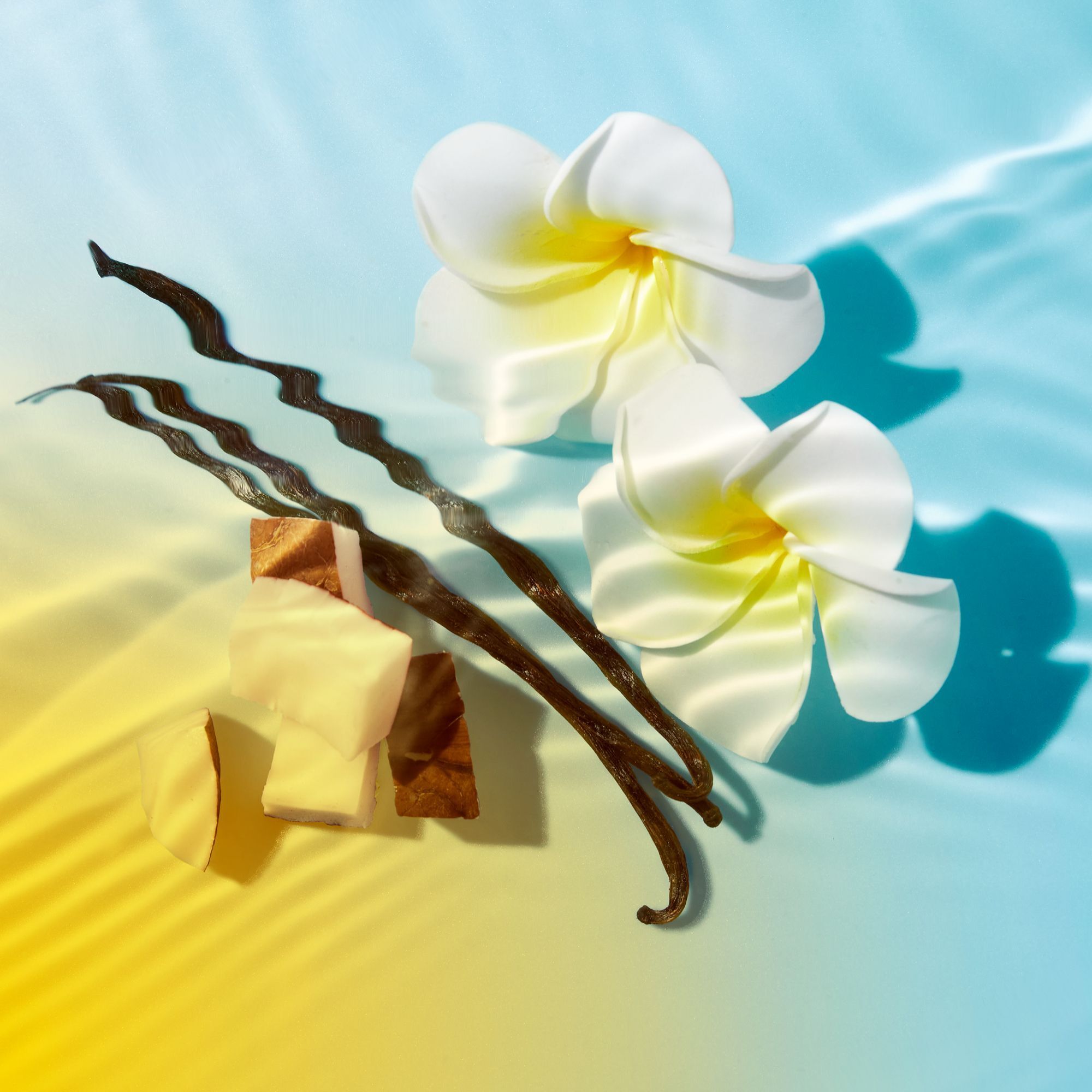 Zwei weiße Blüten, Vanilleschoten und Würfel auf blau-gelbem Hintergrund. Schatten.