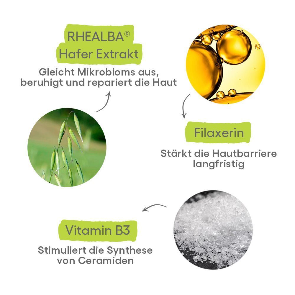 Grafische Darstellung der Inhaltsstoffe von A-DERMA EXOMEGA CONTROL. Rhealba Hafer Extrakt, Filaxerin, Vitamin B3. Abbildungen von Pflanzen und Stoffen.