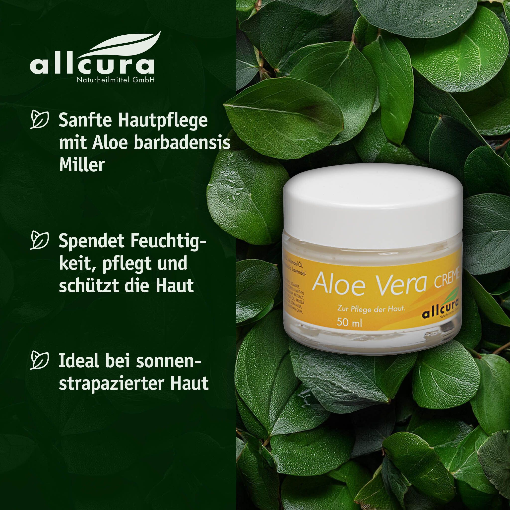 Cremetiegel mit weißem Deckel, umgeben von Blättern. Aufschrift: Aloe Vera Creme, 50 ml. Gelbes Etikett mit Logo.