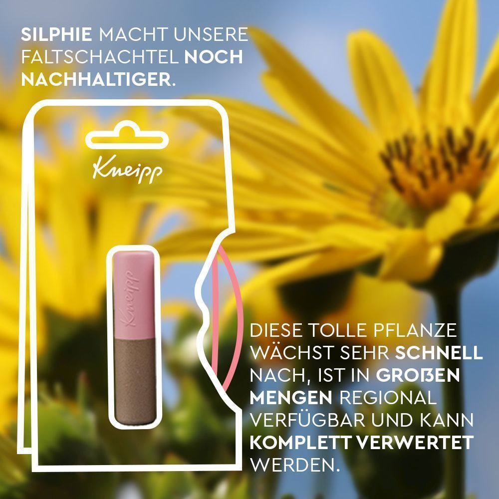 Lippenpflegestift in Pappverpackung. Text über Nachhaltigkeit und die Pflanze Silphie.