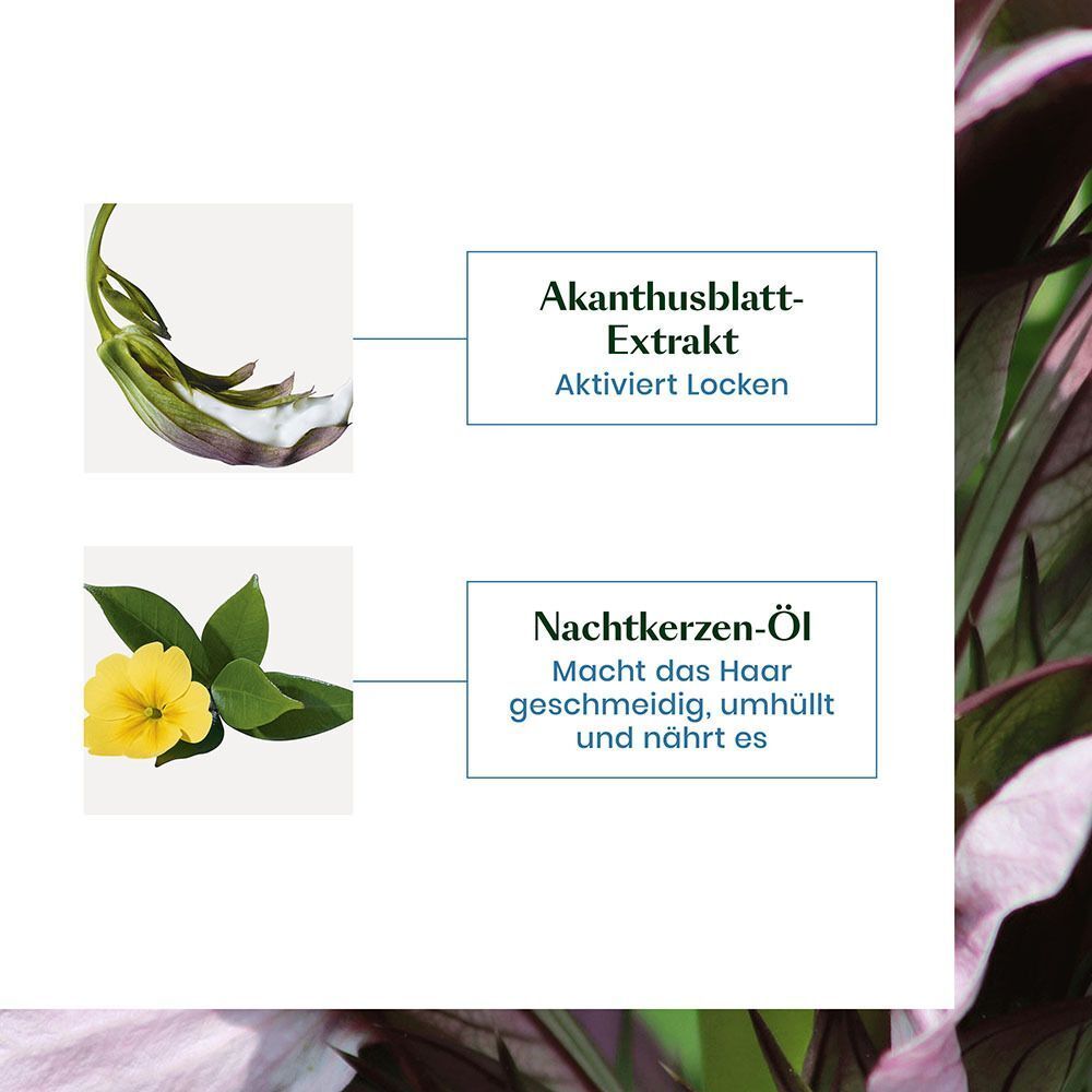 Nahaufnahme von Pflanzen. Text: Akanthusblatt-Extrakt, aktiviert Locken. Nachtkerzen-Öl, macht das Haar geschmeidig, umhüllt und nährt es.