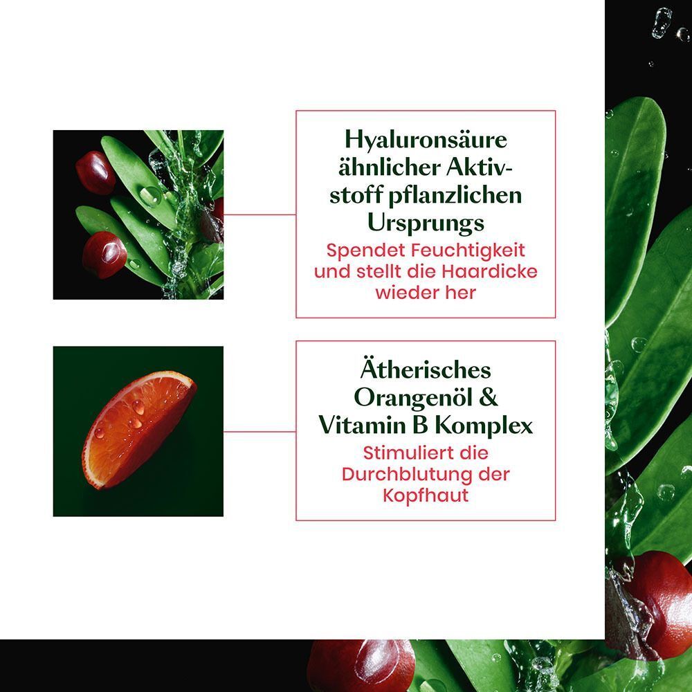 Nahaufnahme von Blättern und Orange. Text: Hyaluronsäure, ätherisches Orangenöl & Vitamin B Komplex.