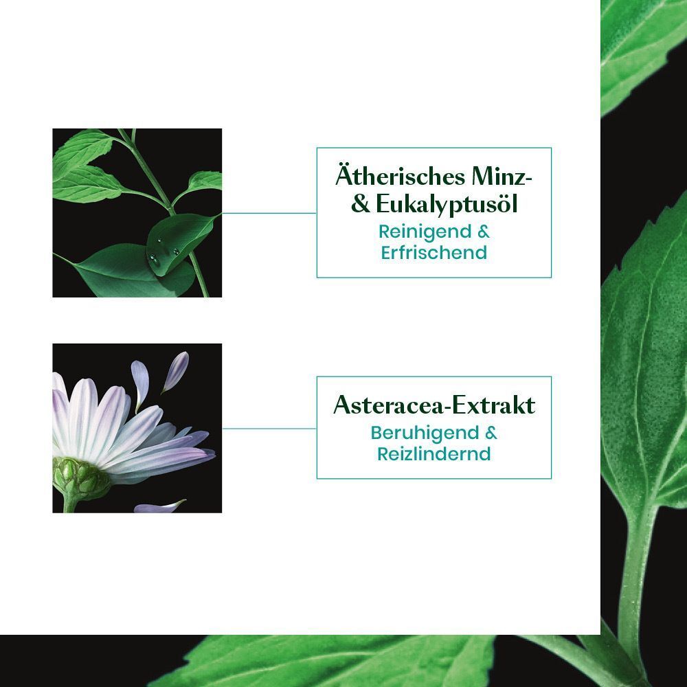 Abbildung von Pflanzen und Text. Ätherisches Minz- & Eukalyptusöl, Asteracea-Extrakt. Reinigend & erfrischend, beruhigend & reizlindernd.