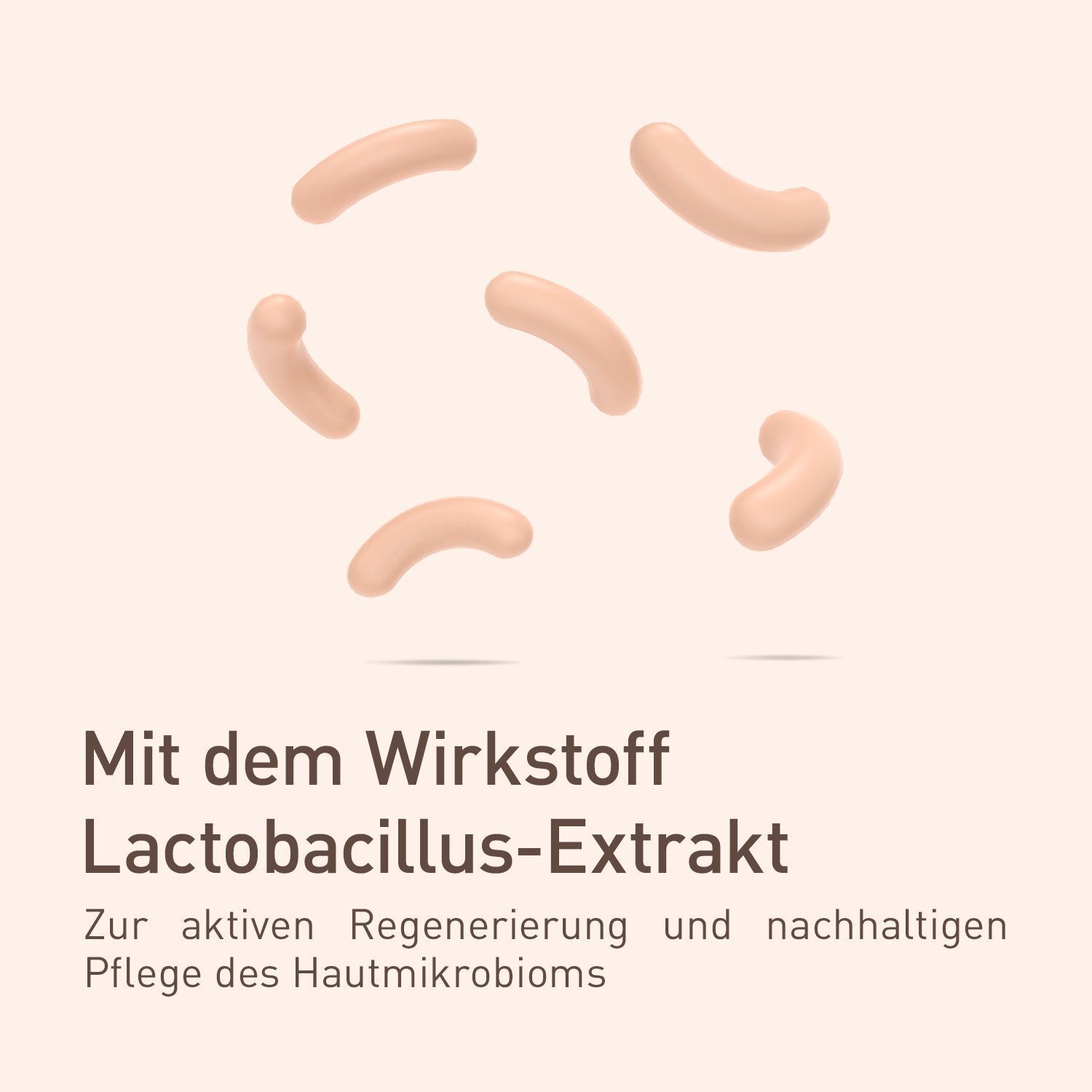 Abbildung von sechs Bakterien. Text: "Mit dem Wirkstoff Lactobacillus-Extrakt".