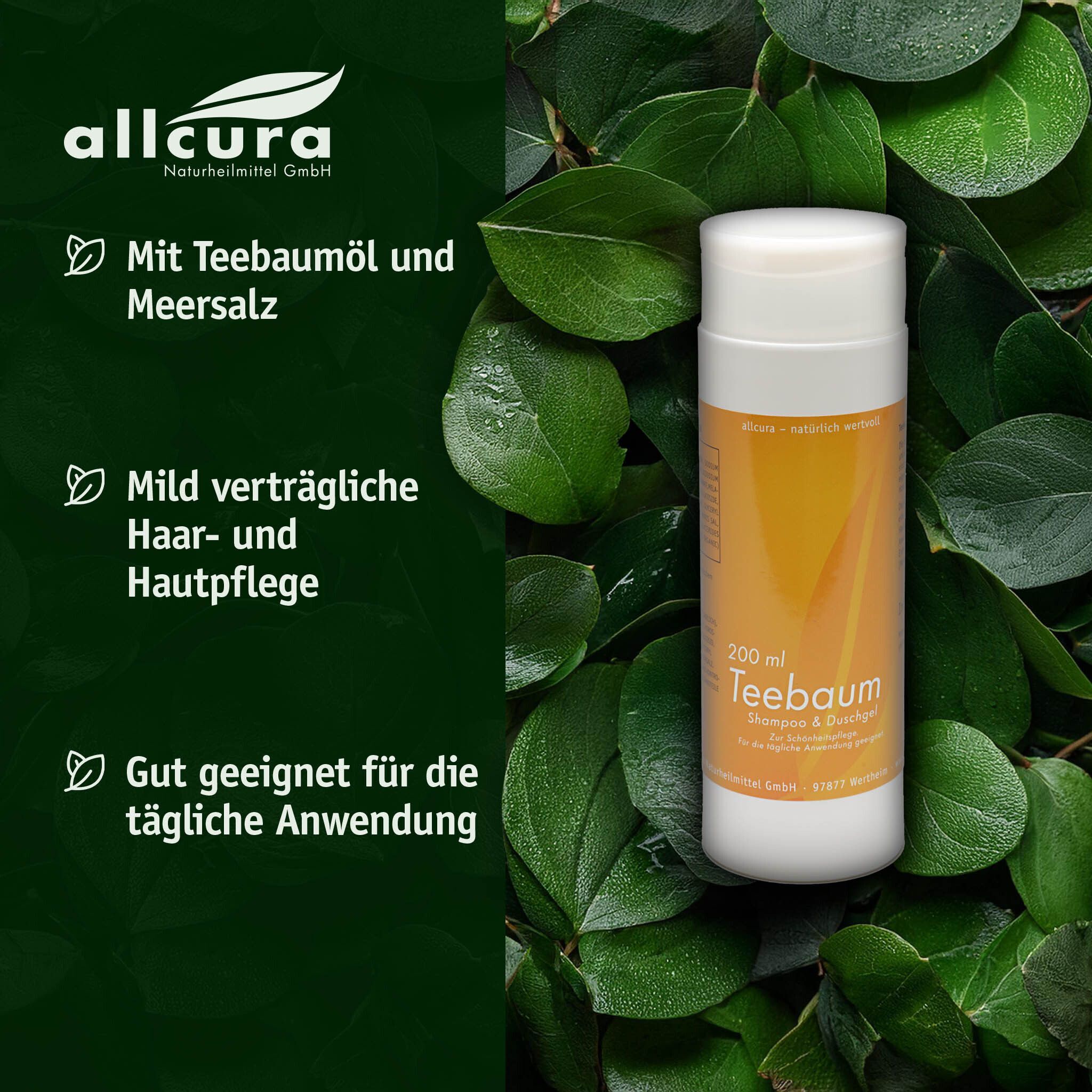 Flasche Shampoo & Duschgel mit grünem Hintergrund. Text: allcura, Teebaum, 200 ml, Shampoo & Duschgel.