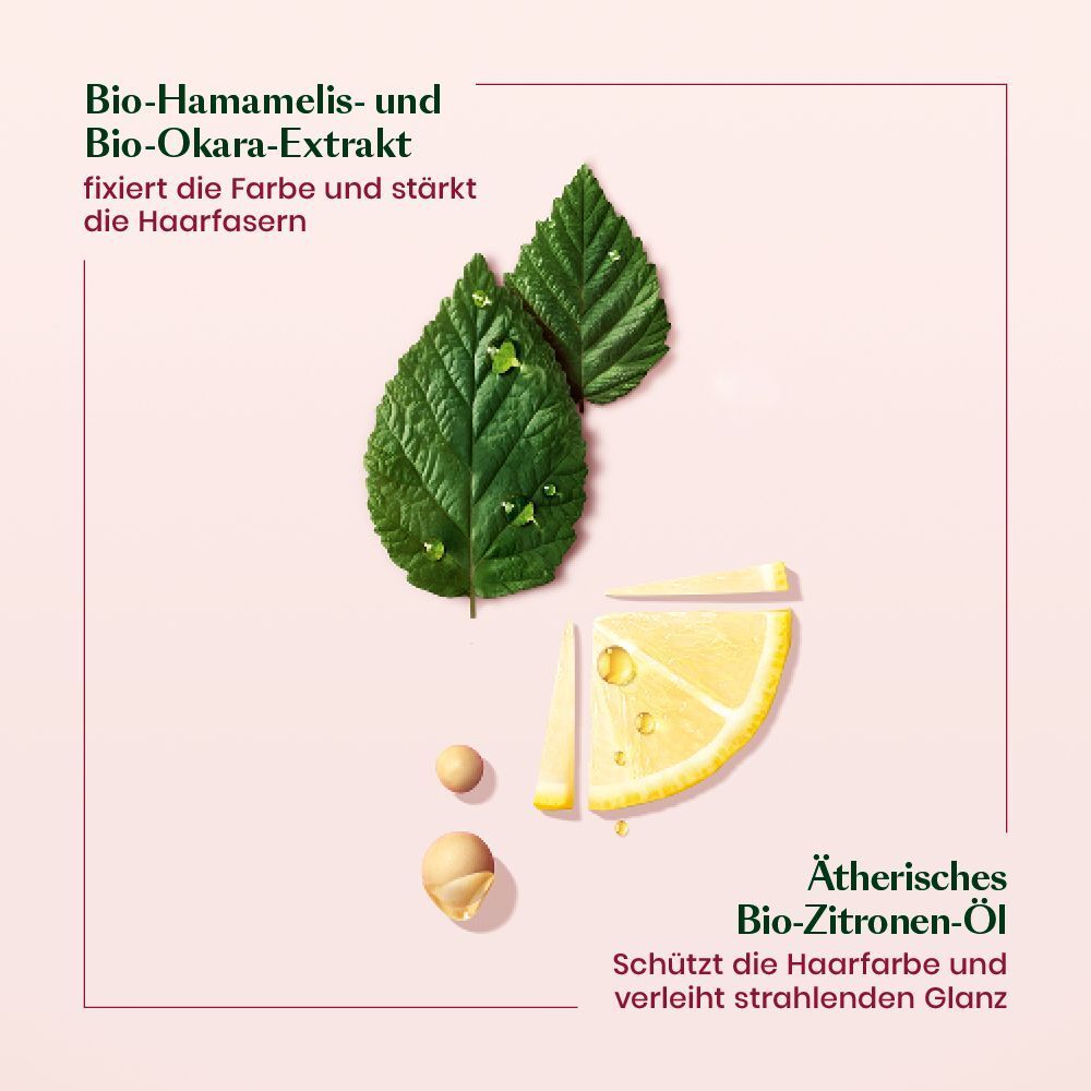 Zitronenscheibe, Blätter und Samen. Text: Ätherisches Bio-Zitronen-Öl. Schützt die Haarfarbe und verleiht Glanz.