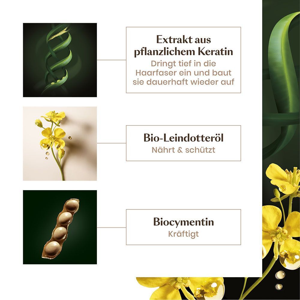 Grafische Darstellung der Inhaltsstoffe. Extrakt aus pflanzlichem Keratin, Bio-Leindotteröl, Biocymentin.