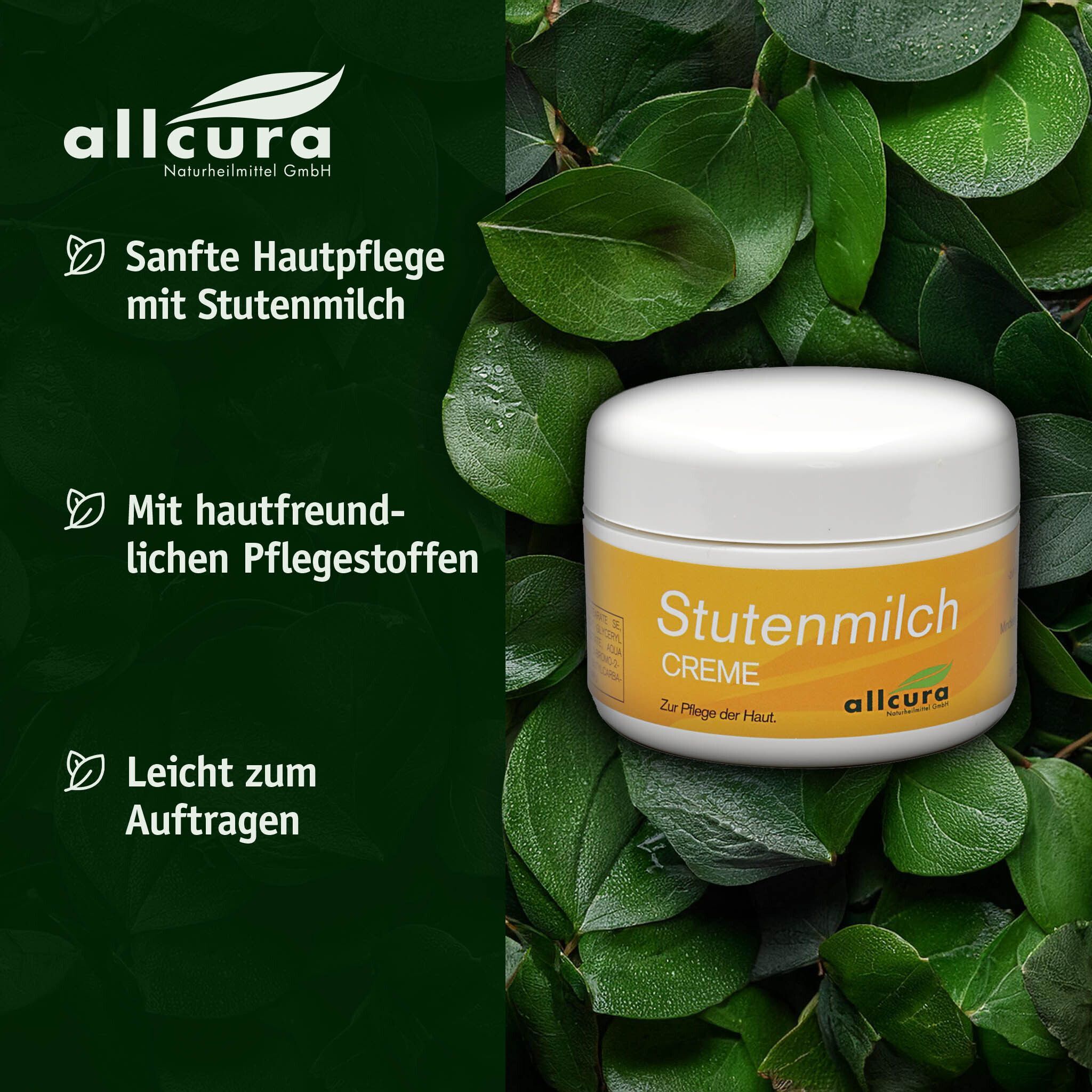 Tiegel allcura Stutenmilch-Creme auf Blättern. Weißer Deckel, gelbes Etikett mit Schriftzug. Text: Stutenmilch Creme, zur Pflege der Haut. Logo allcura.