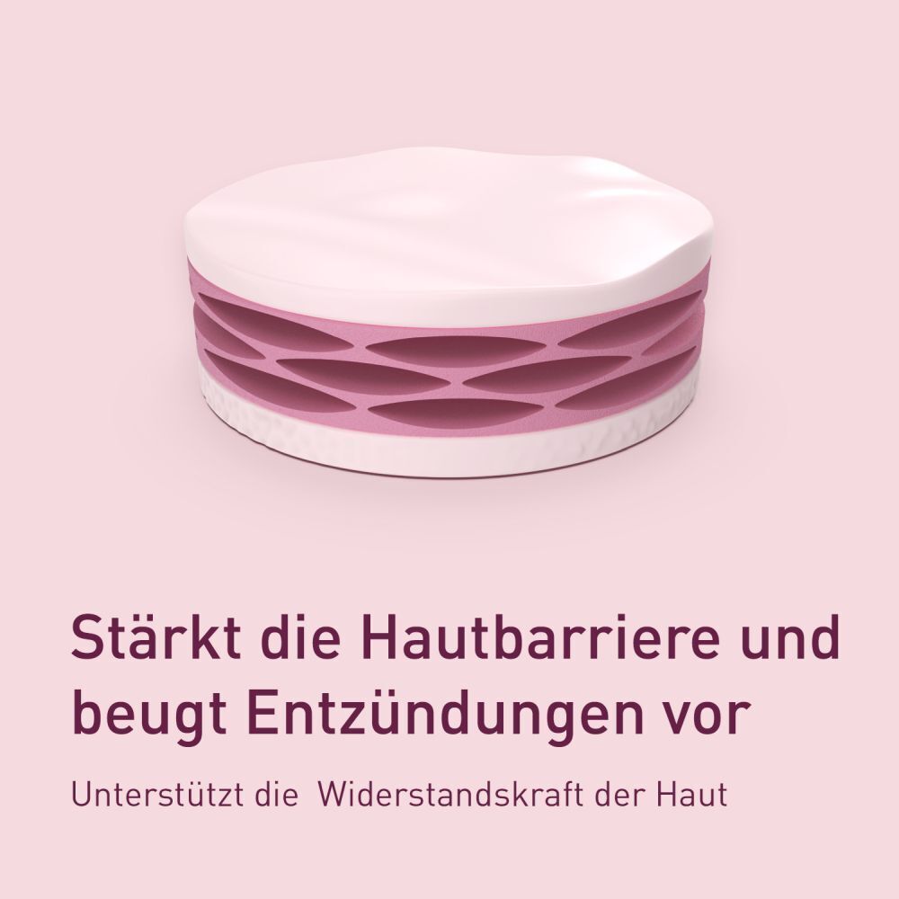 3D-Modell der Hautschichten. Text: Stärkt die Hautbarriere und beugt Entzündungen vor.