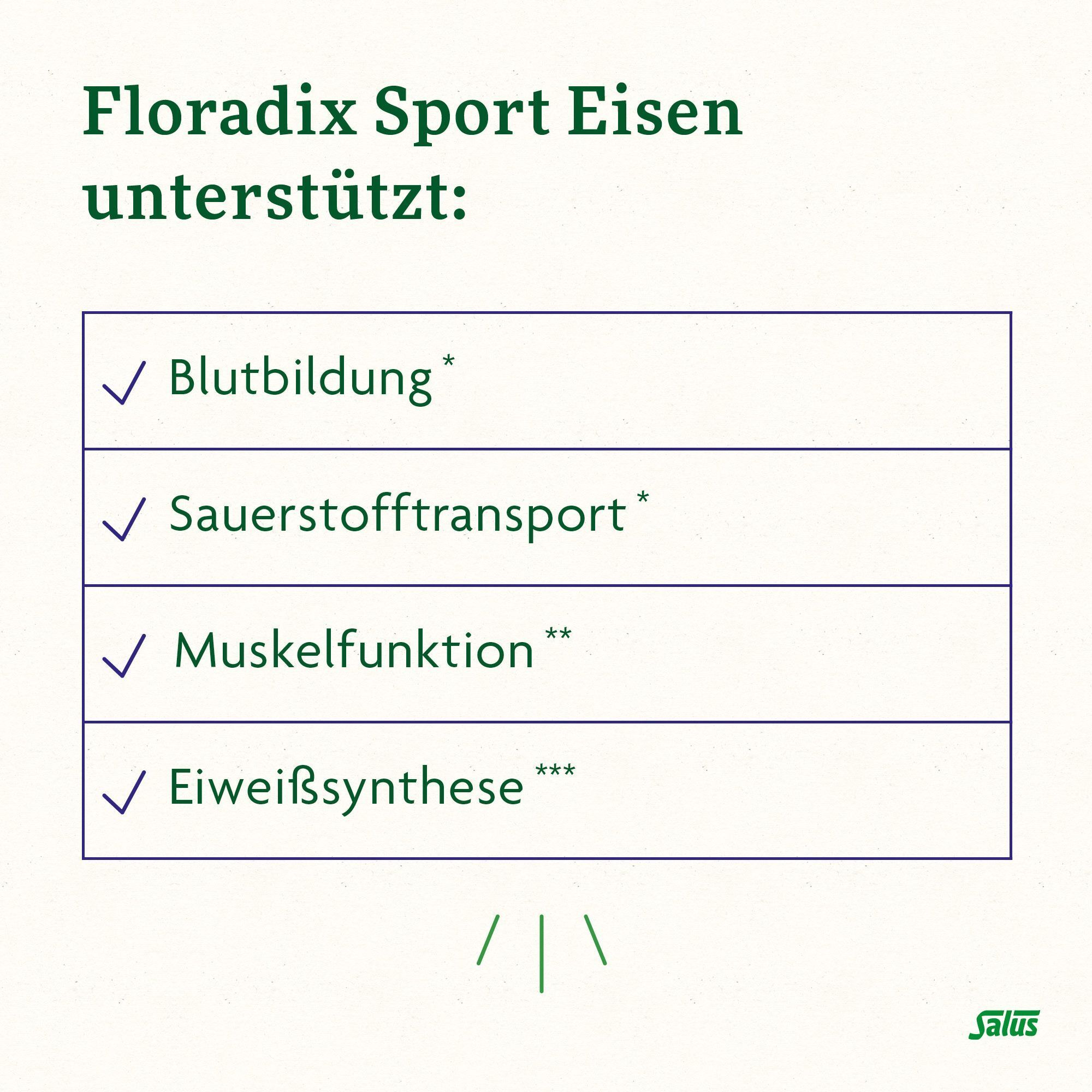 Floradix Sport Eisen unterstützt Blutbildung, Sauerstofftransport, Muskelfunktion und Eiweißsynthese.