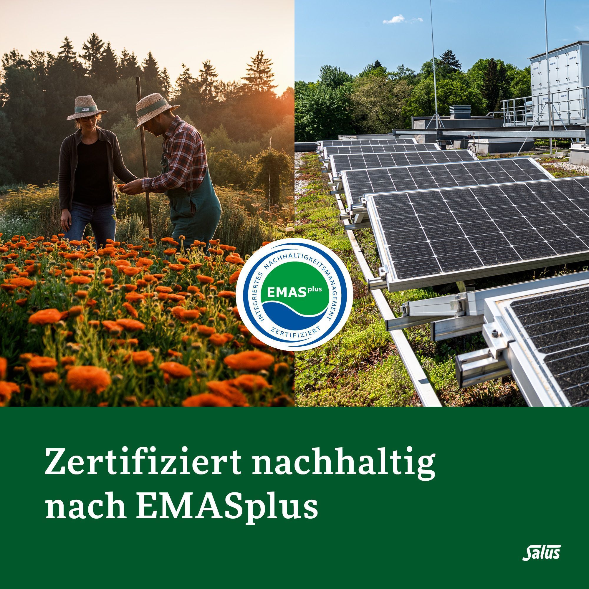 Landwirtschaft und Solaranlage. Zertifiziert nachhaltig nach EMASplus.