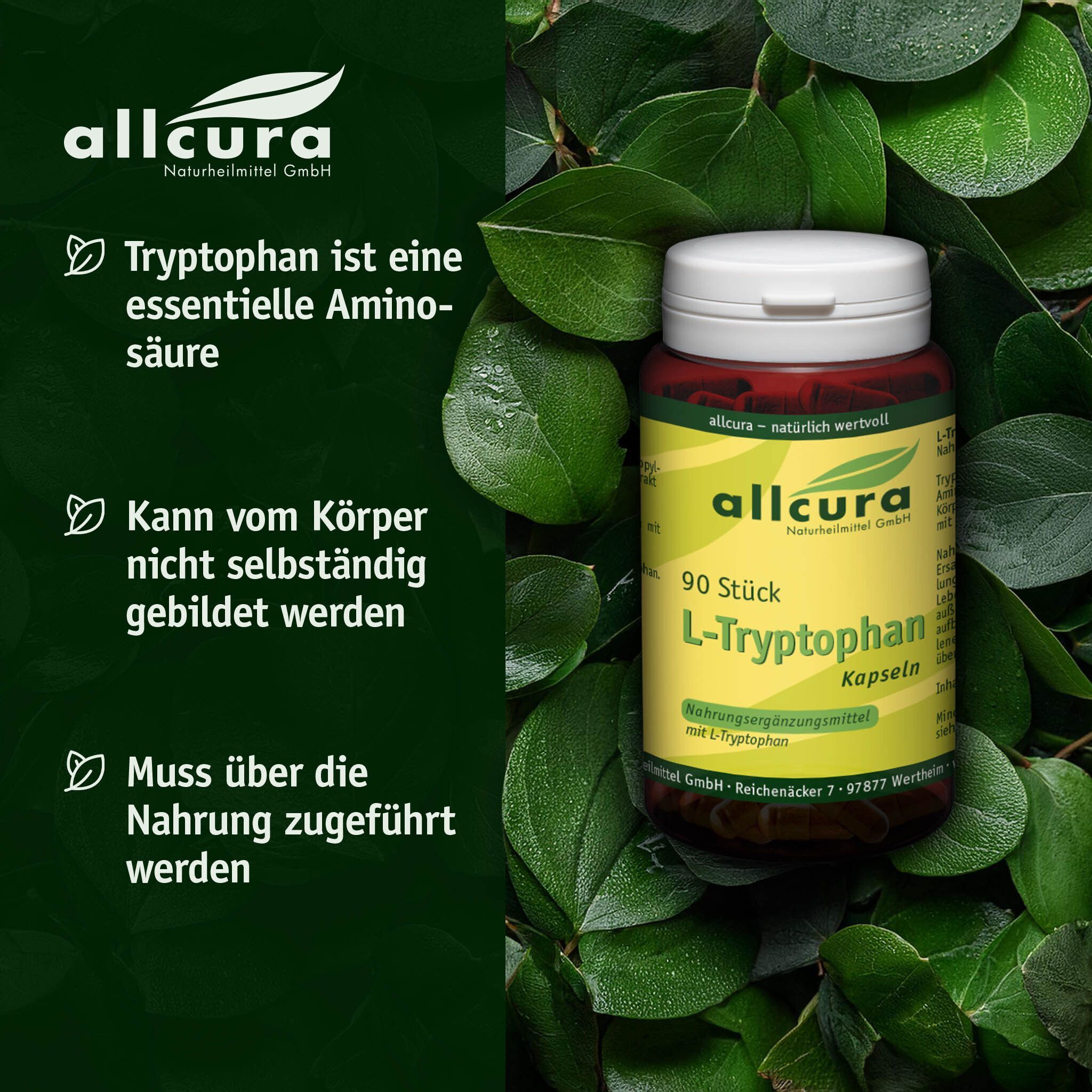 Eine Flasche mit weißem Deckel. Aufschrift: allcura L-Tryptophan Kapseln. 90 Stück. Umgeben von Blättern.