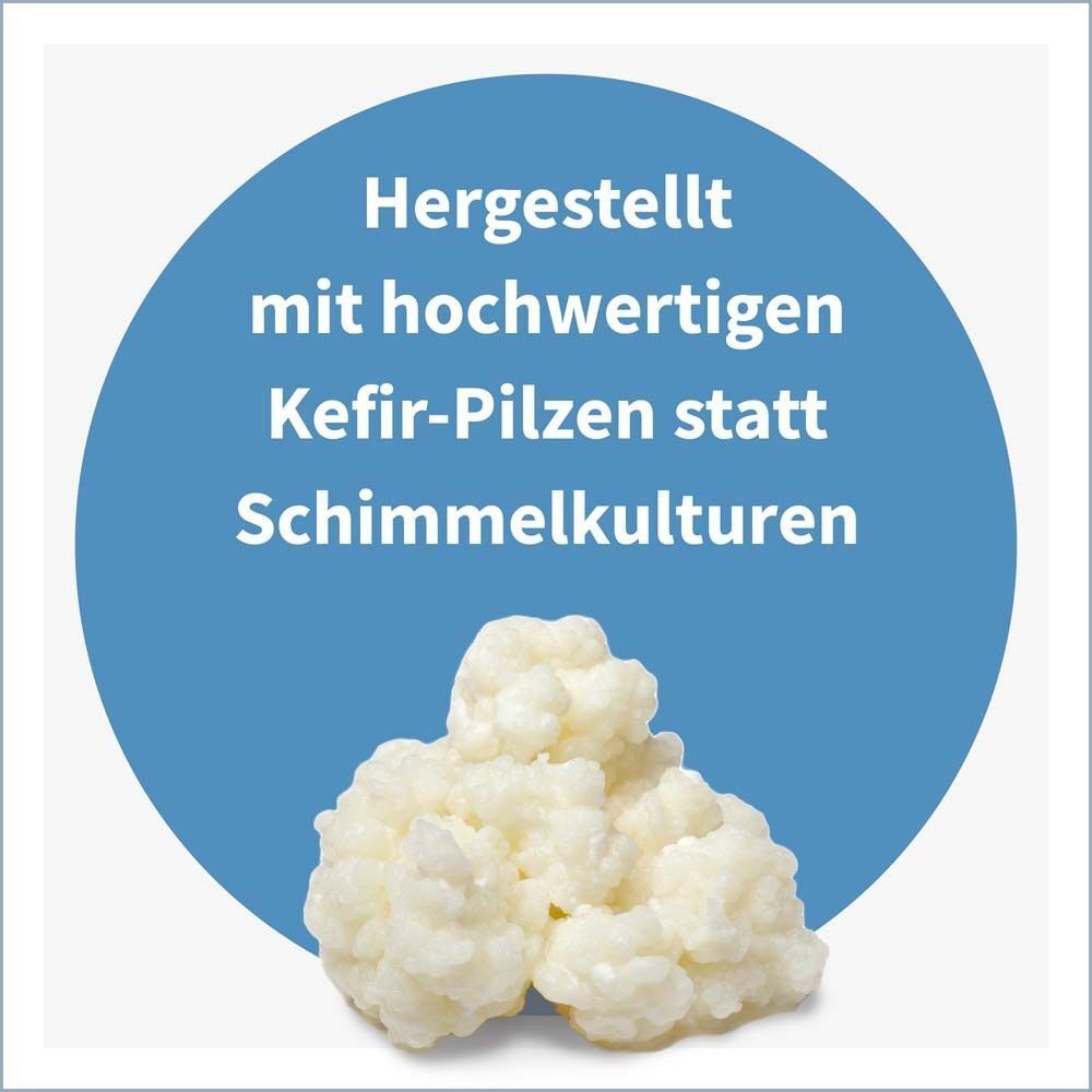 Blauer Kreis mit Text: Hergestellt mit hochwertigen Kefir-Pilzen statt Schimmelkulturen. Darunter weiße Kefir-Pilze.