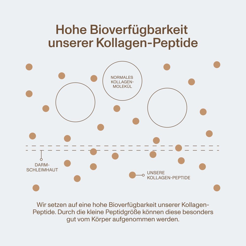 Grafische Darstellung. Text: Hohe Bioverfügbarkeit unserer Kollagen-Peptide. Moleküle, Darm, Kollagen-Peptide.
