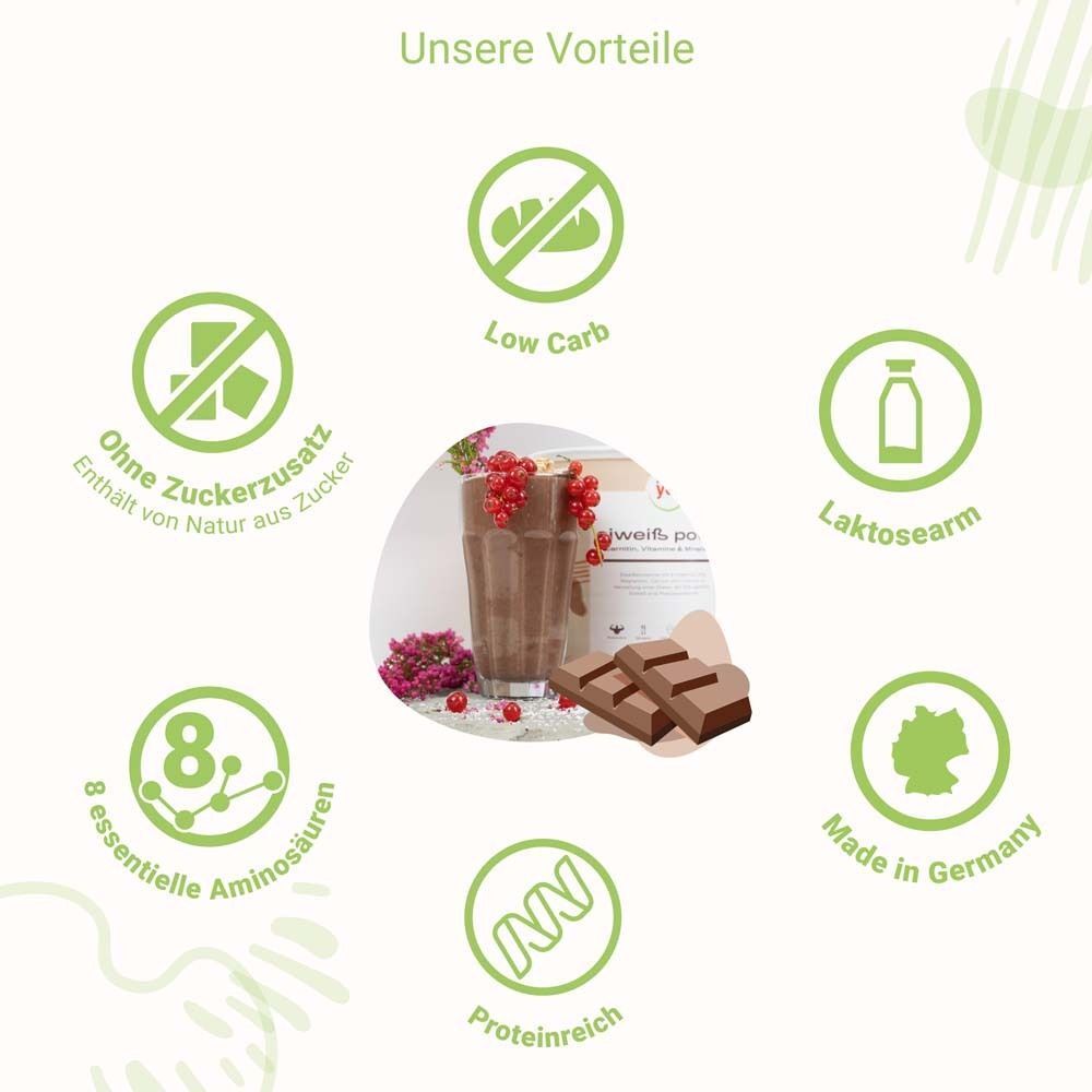 Grafik mit Vorteilen: Low Carb, ohne Zuckerzusatz, laktosearm, 8 Aminosäuren, proteinreich, Made in Germany. Produkt und Schokostückchen.