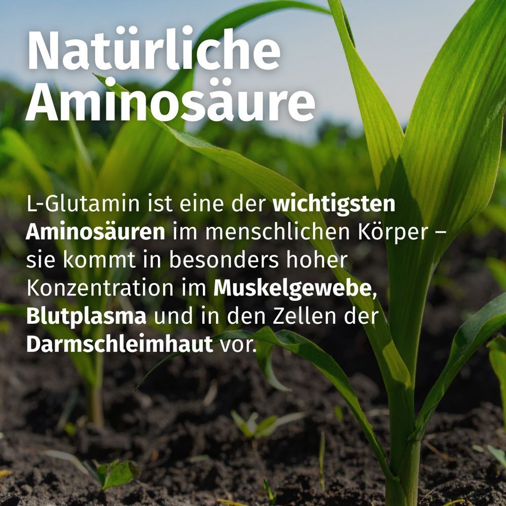 Nahaufnahme von grünen Pflanzen. Text: Natürliche Aminosäure. Text über L-Glutamin.