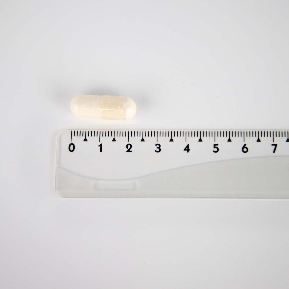 Eine einzelne Kapsel neben einem Lineal. Kapsel ist hellbeige. Lineal mit Zentimeter- und Millimeter-Einteilung.