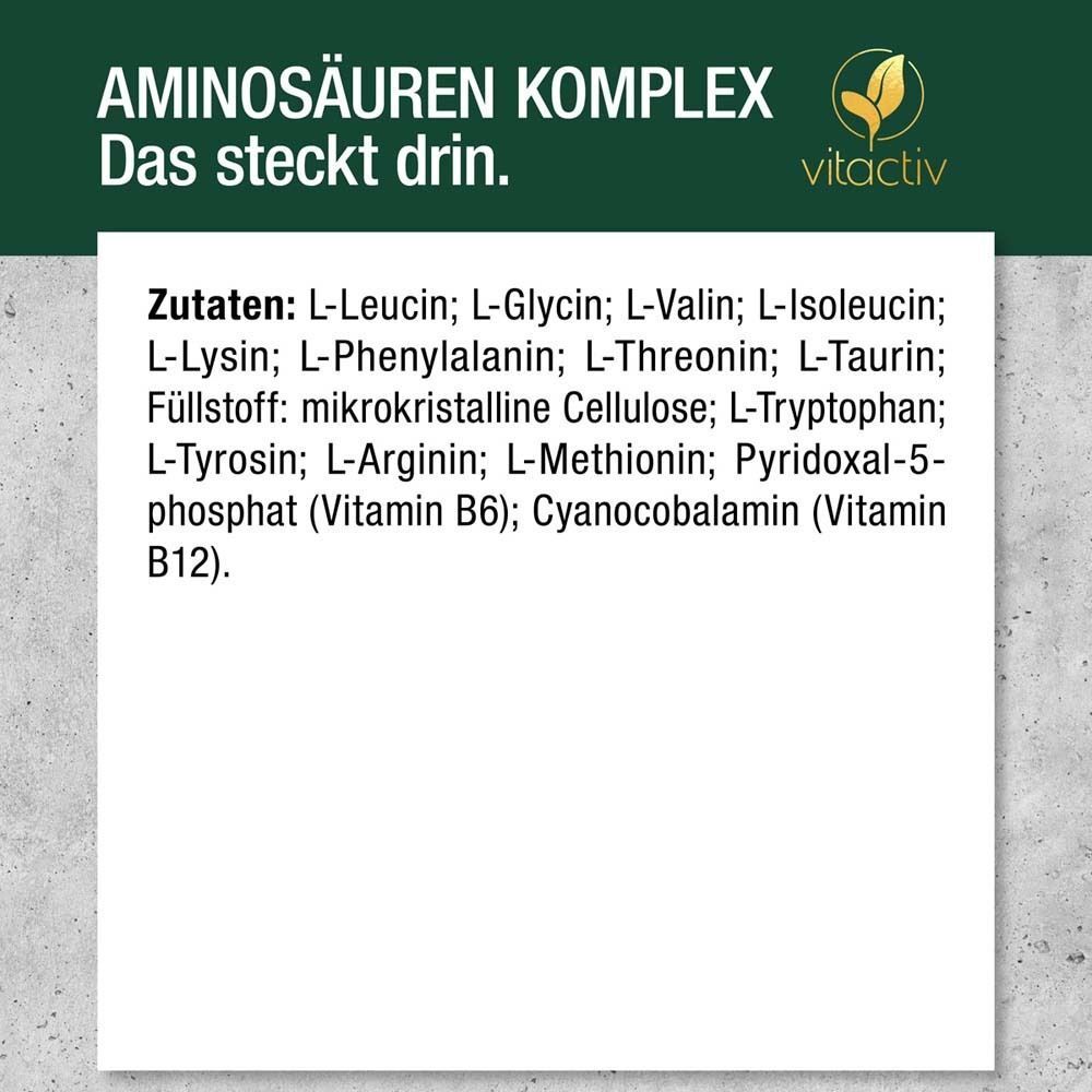 Zutatenliste für Vitactiv Aminosäuren Komplex vegan. Auflistung von Aminosäuren, Füllstoff und Vitaminen.