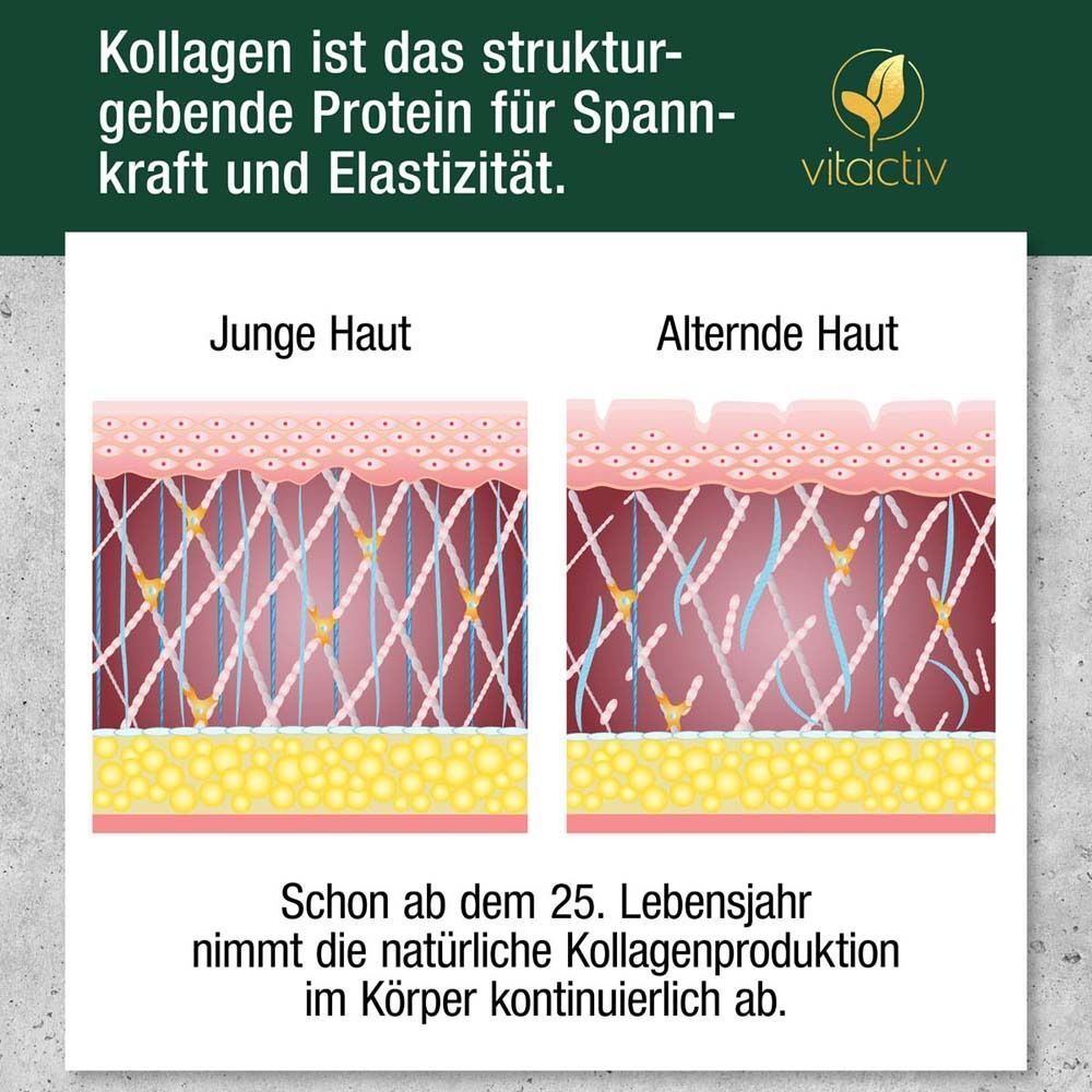 Vergleich von junger und alter Hautstruktur, die Kollagenfasern zeigt. Text erklärt Kollagen.