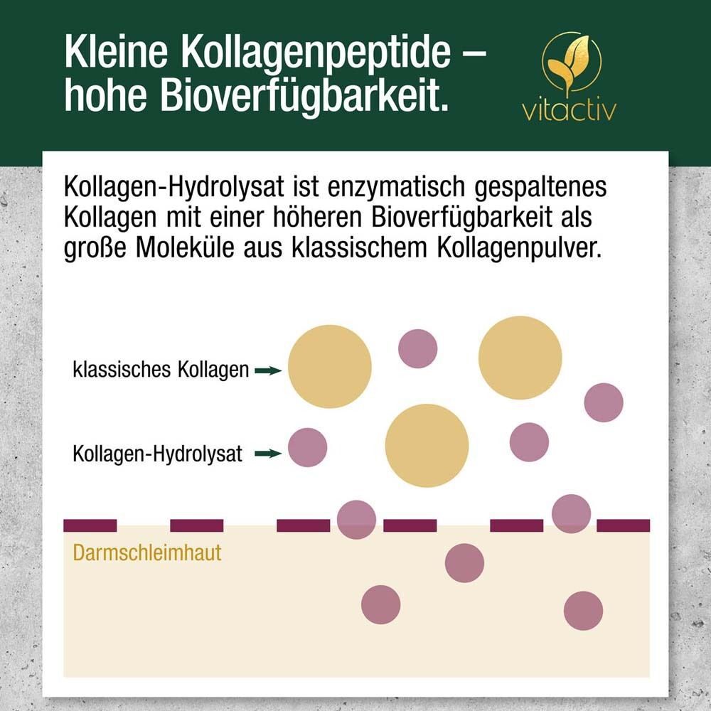 Grafik zeigt kleine Kollagenpeptide mit hoher Bioverfügbarkeit im Vergleich zu großen Molekülen.