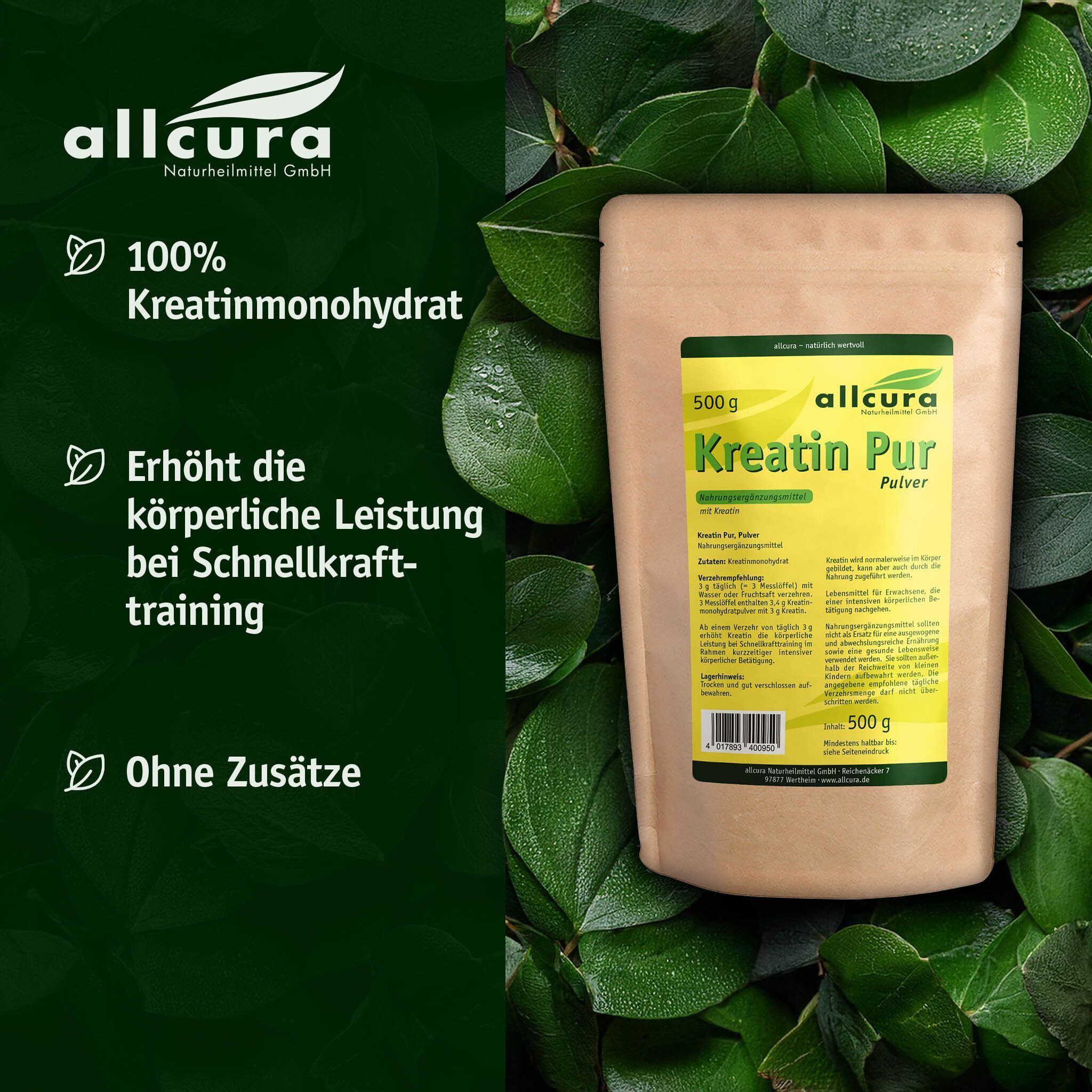 Packung allcura Kreatin Pur Pulver (500g) umgeben von grünen Blättern, mit Text zu Inhaltsstoffen und Wirkung.