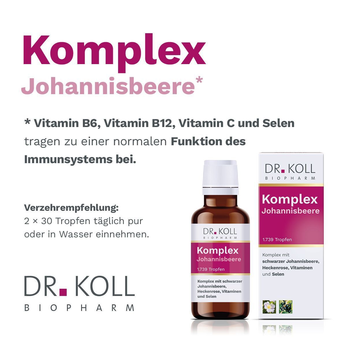 Eine Flasche und eine Schachtel DR. KOLL Komplex Johannisbeere Tropfen mit Anwendungshinweisen.