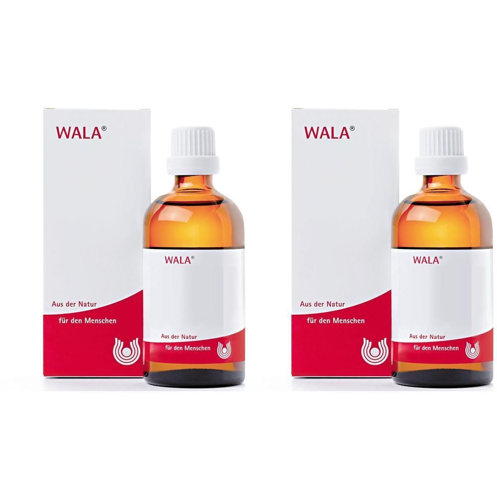 Eucalyptus Oleum äth.10% 2x 2x100 ml Öl